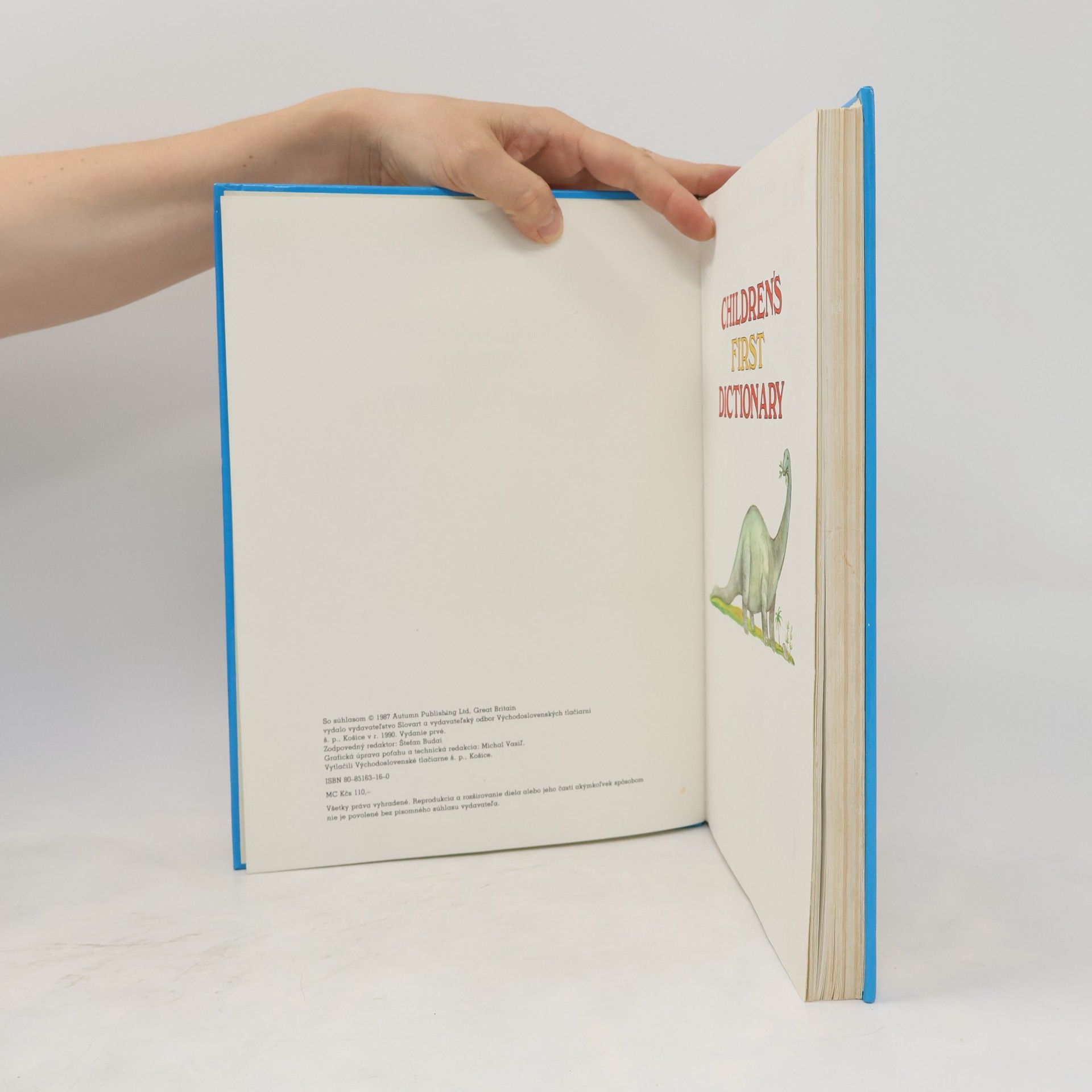 Autorenkollektiv Children's First Dictionary