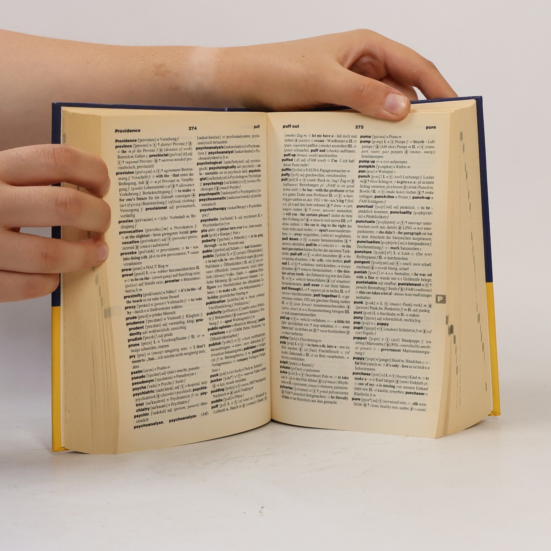 Sabine Dähn-Sigel Kompaktwörterbuch Englisch