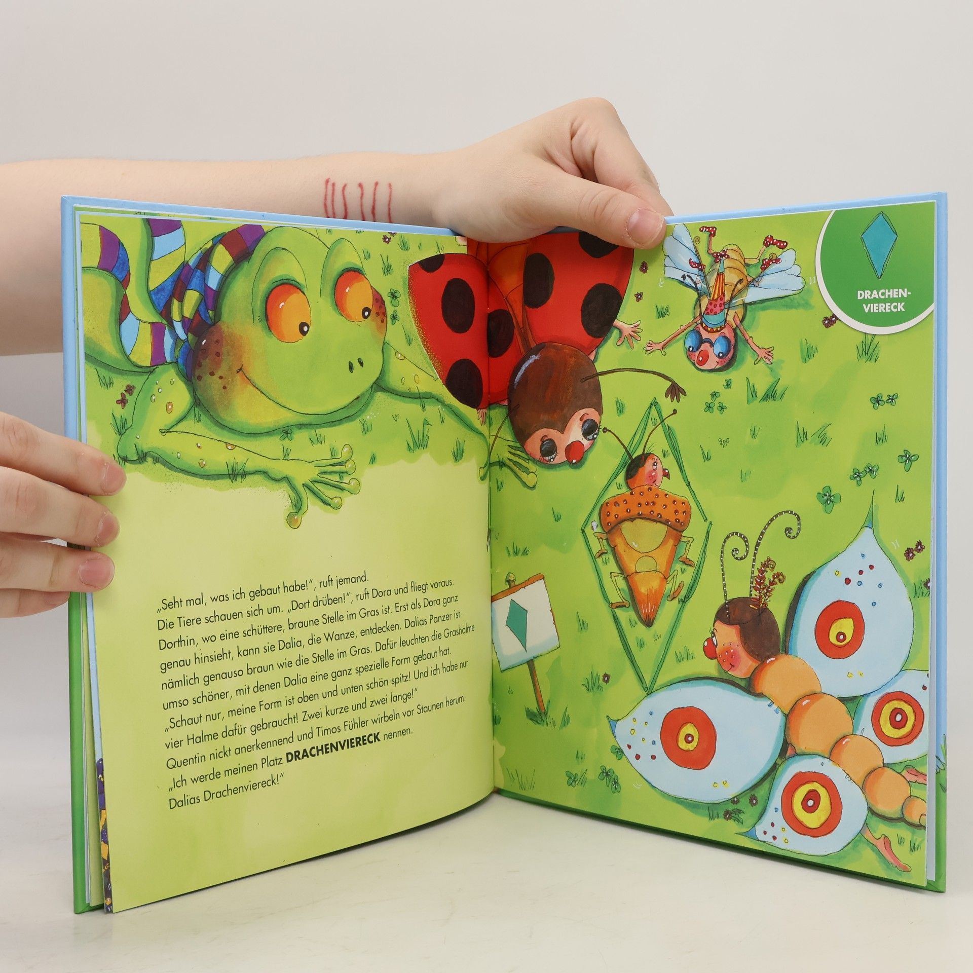 Ulrike Motschiunig Qua, Qua, Quadrat! ruft der Frosch!
