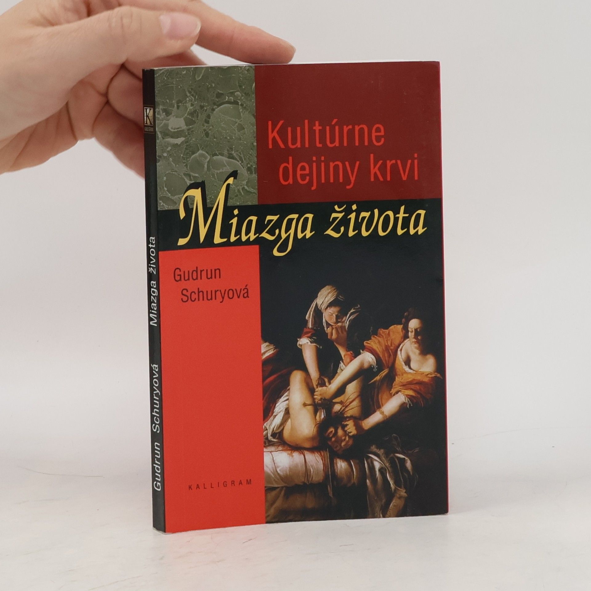 Gudrun Schury Miazga života. Kultúrne dejiny krvi