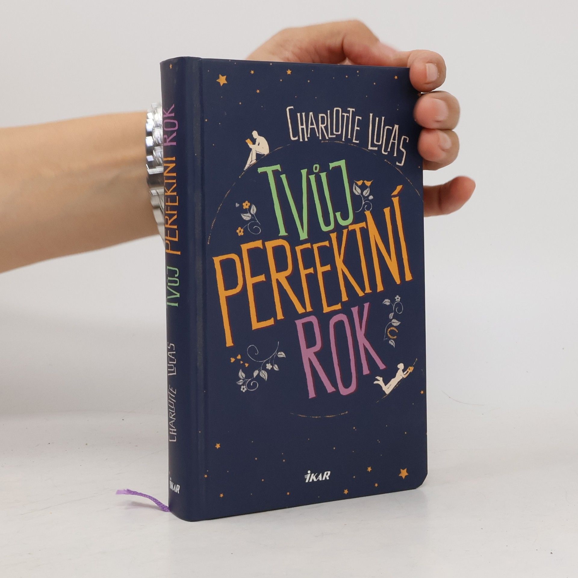 Charlotte Lucas Tvůj perfektní rok