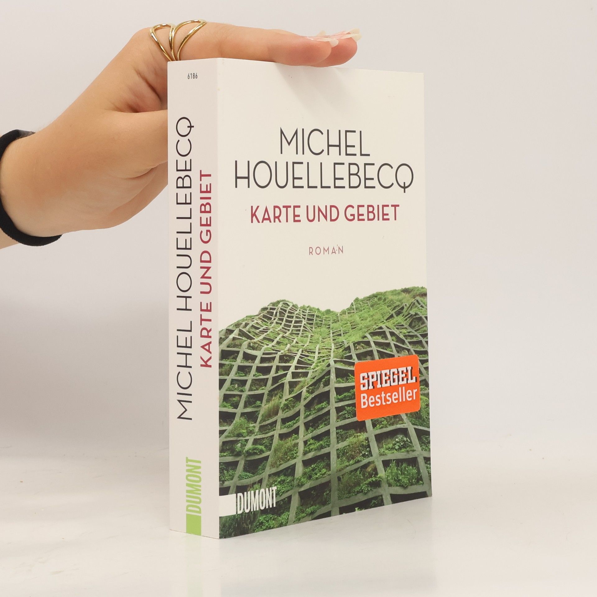 Michel Houellebecq Karte und Gebiet