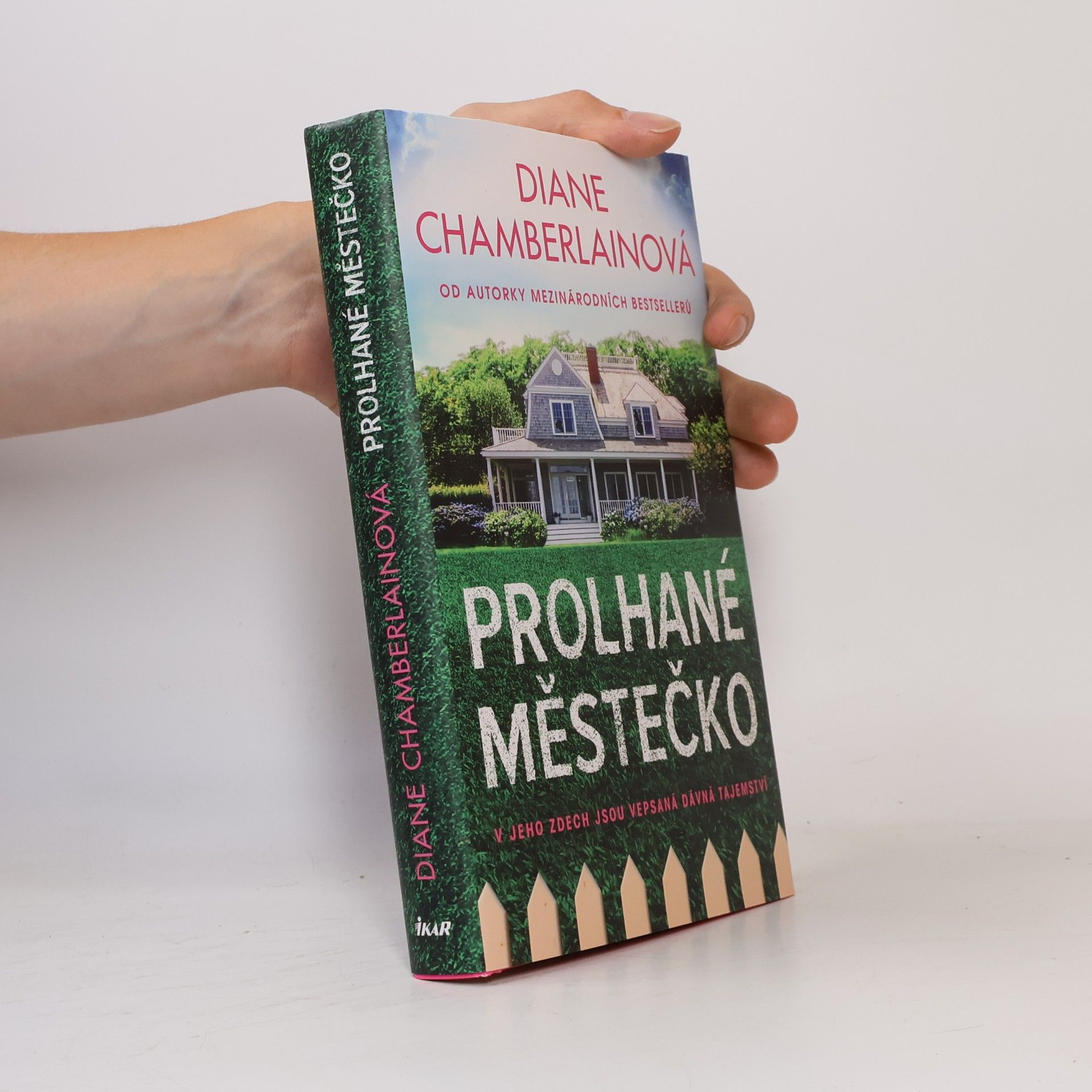 Diane Chamberlain Prolhané městečko