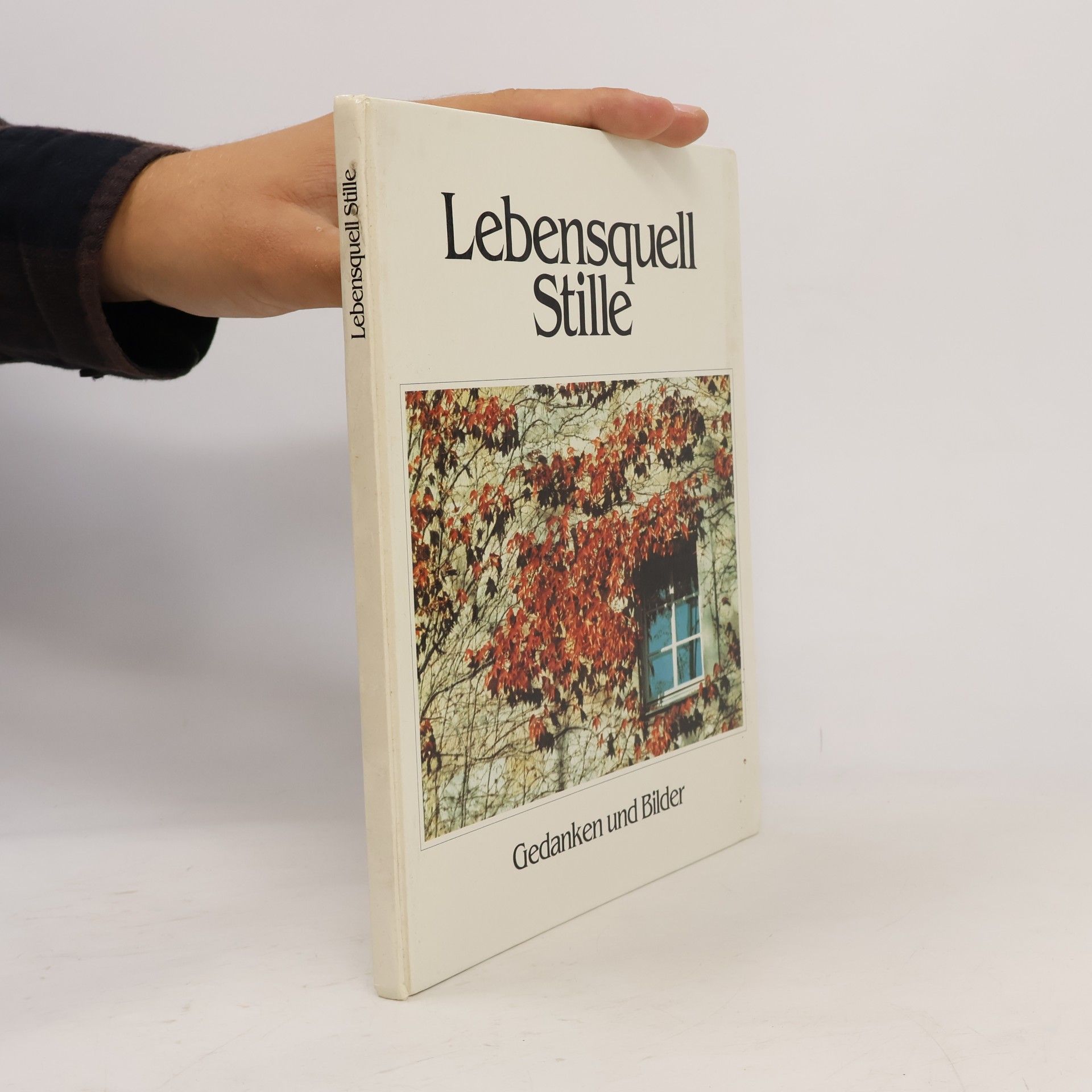 Janos Selmeczi Toth Lebensquell Stille