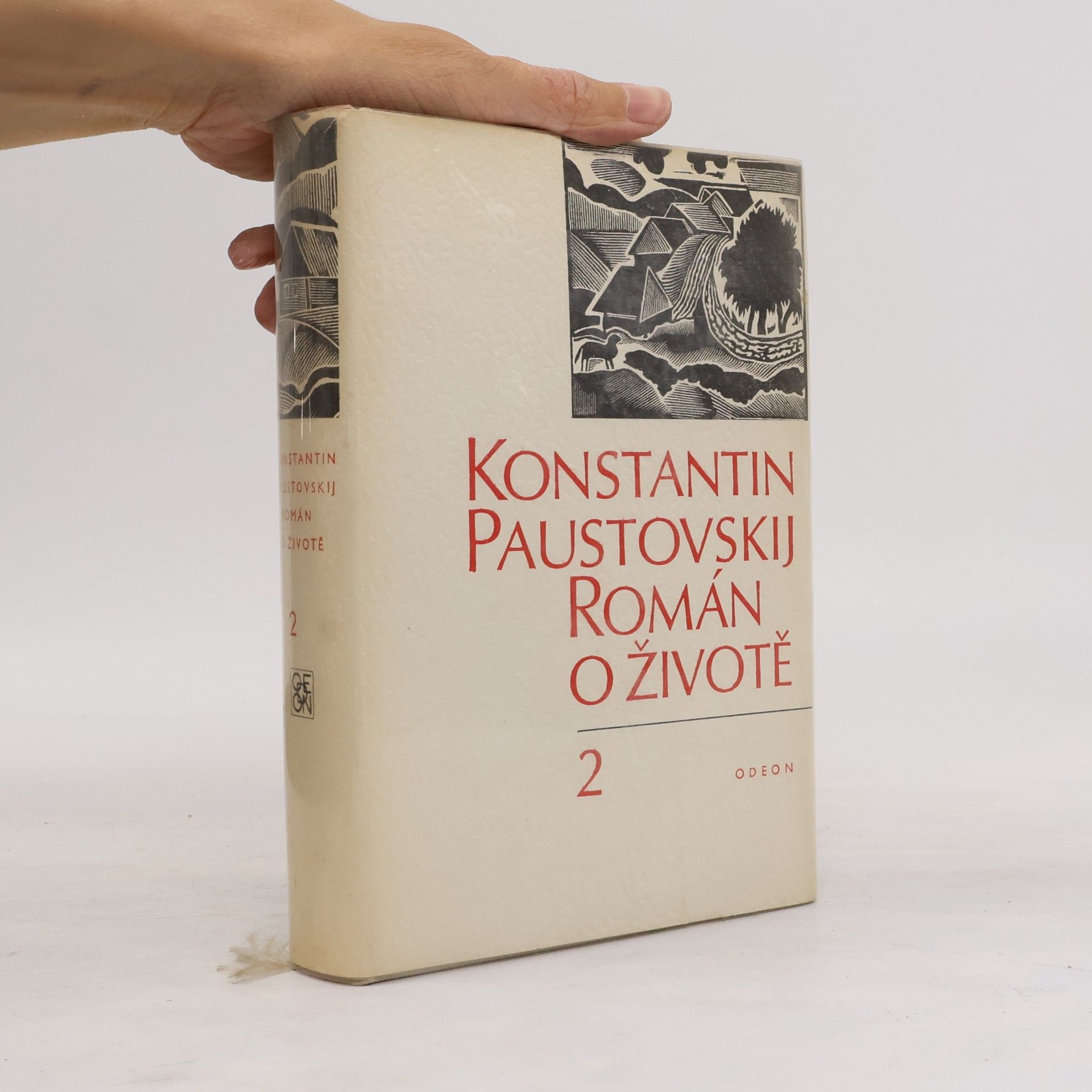 Román o životě 2 IV.-VI.