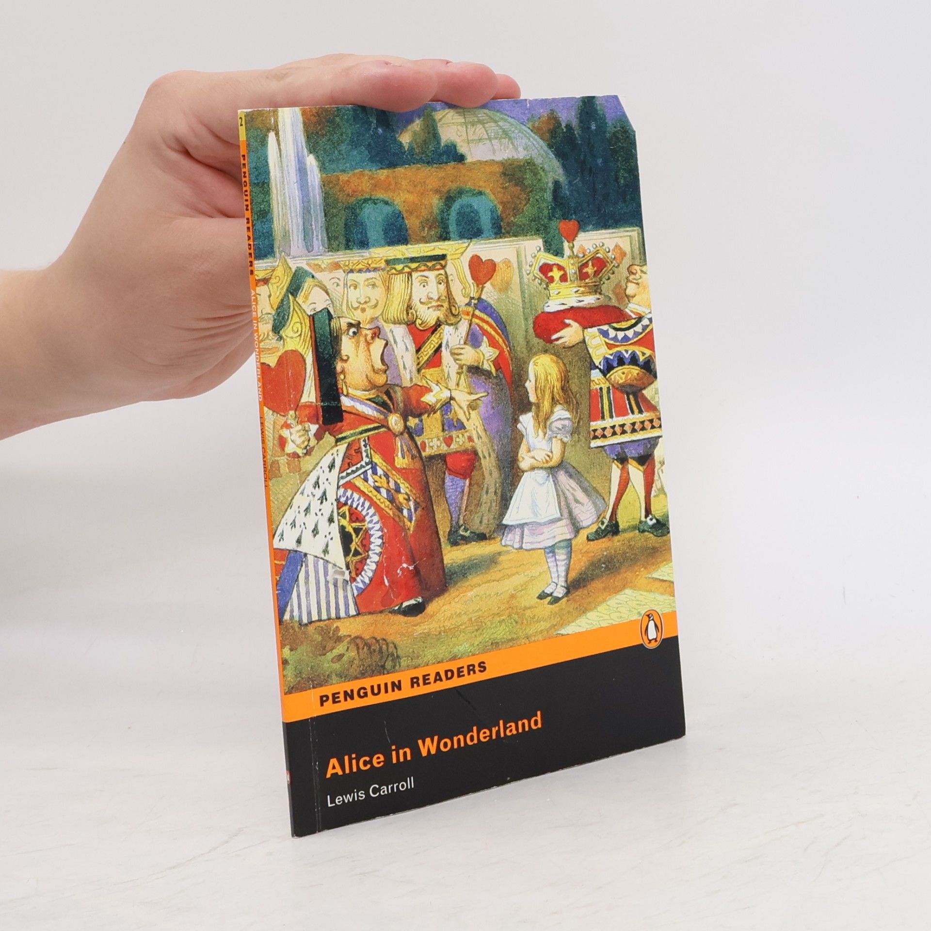Mary Tomalin Alice in Wonderland