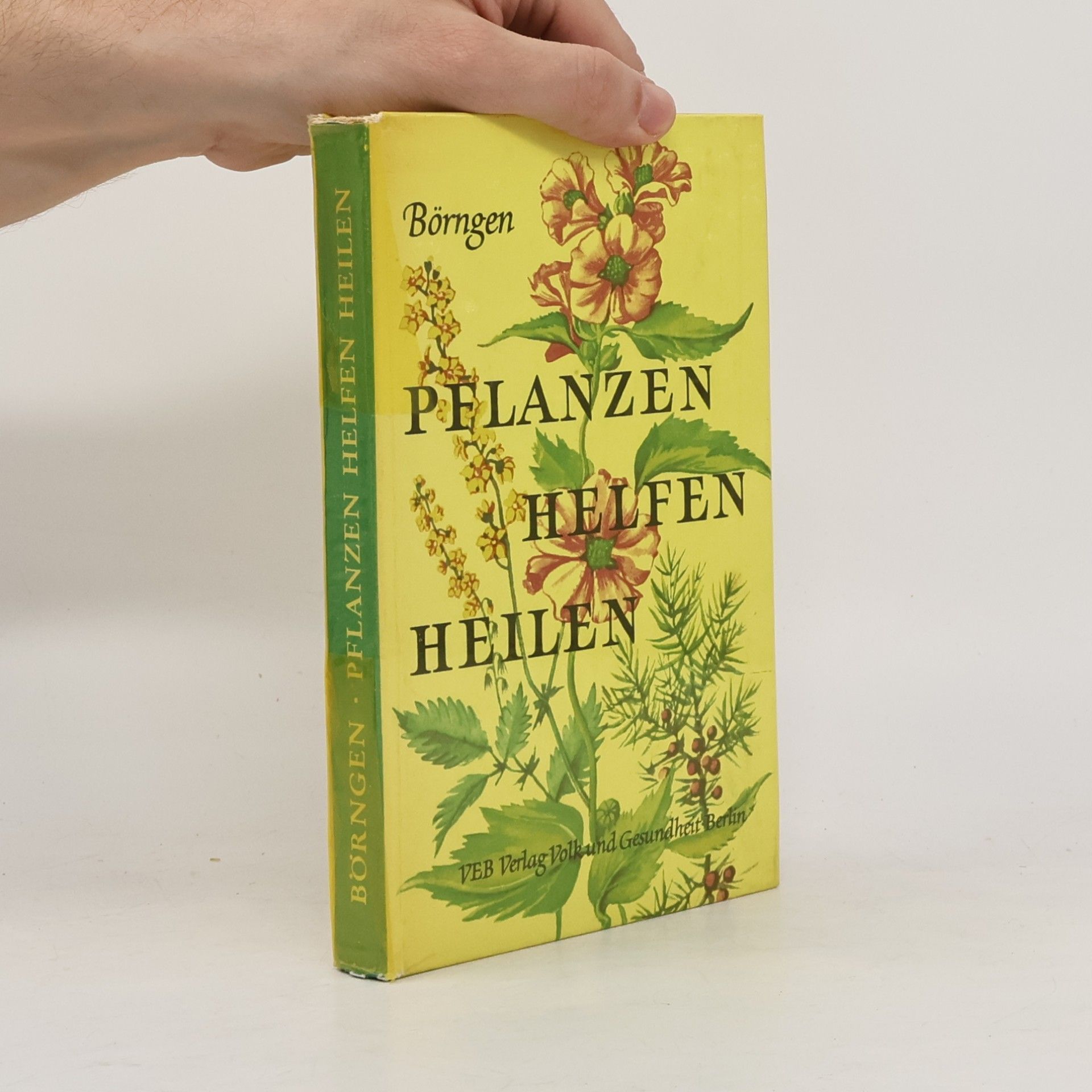 Siegfried Börngen Pflanzen Helfen Heilen
