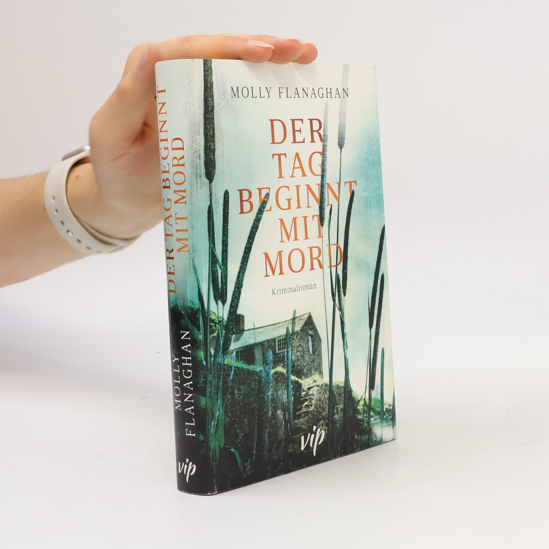 Molly Flanaghan Der Tag beginnt mit Mord