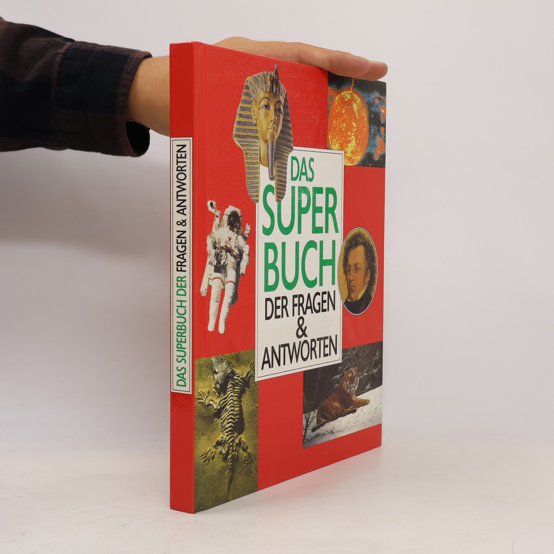 Autores varios Das Superbuch der Fragen & Antworten