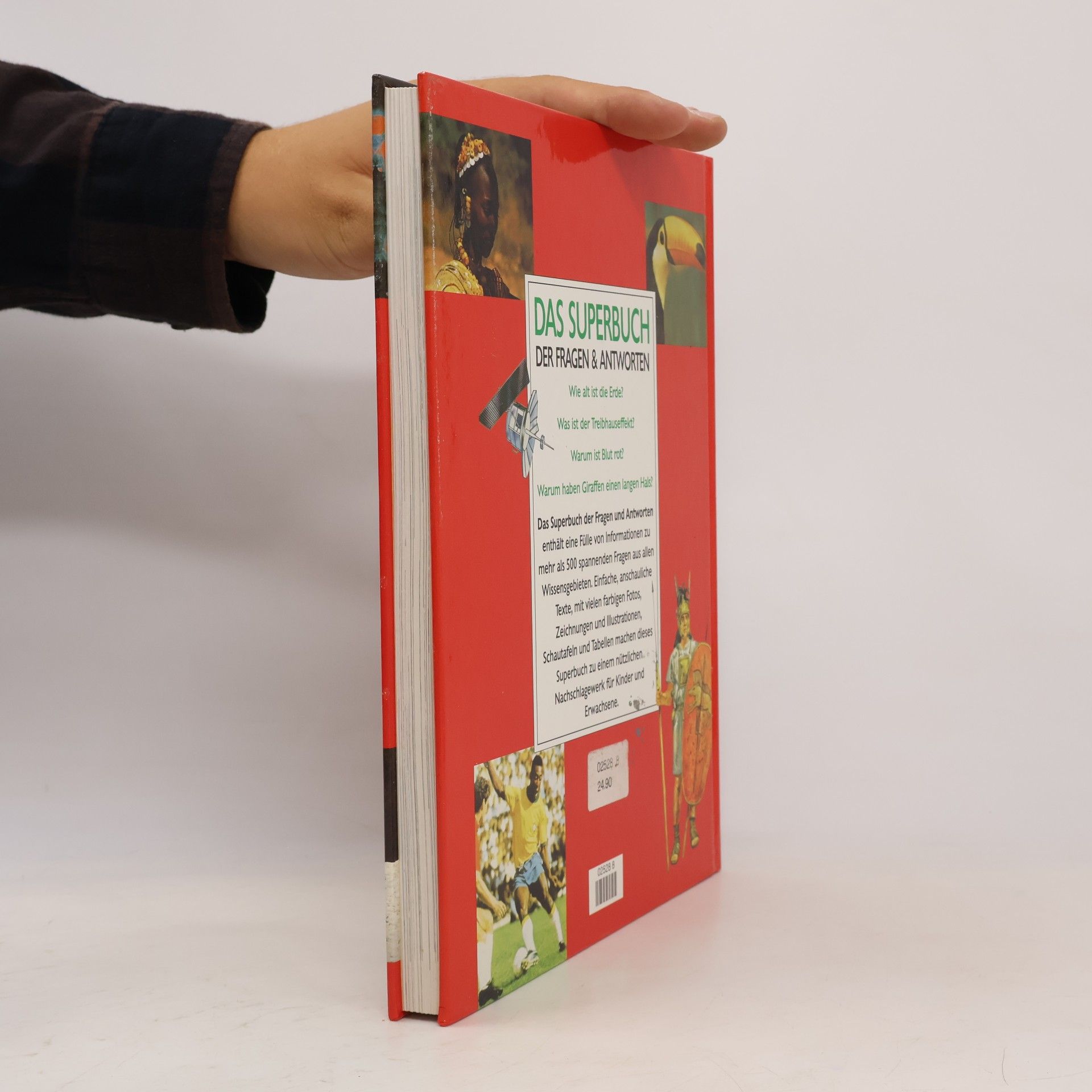 Kolektiv autorů Das Superbuch der Fragen & Antworten