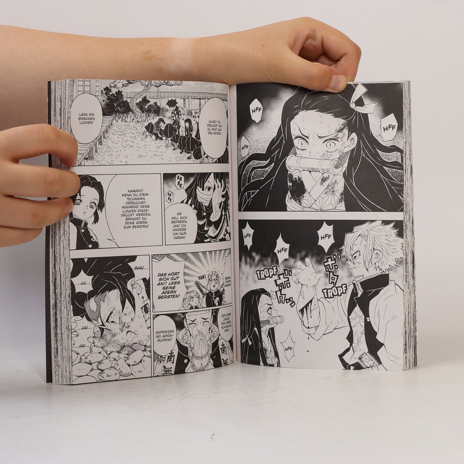 Koyoharu Gotoge Demon Slayer 6