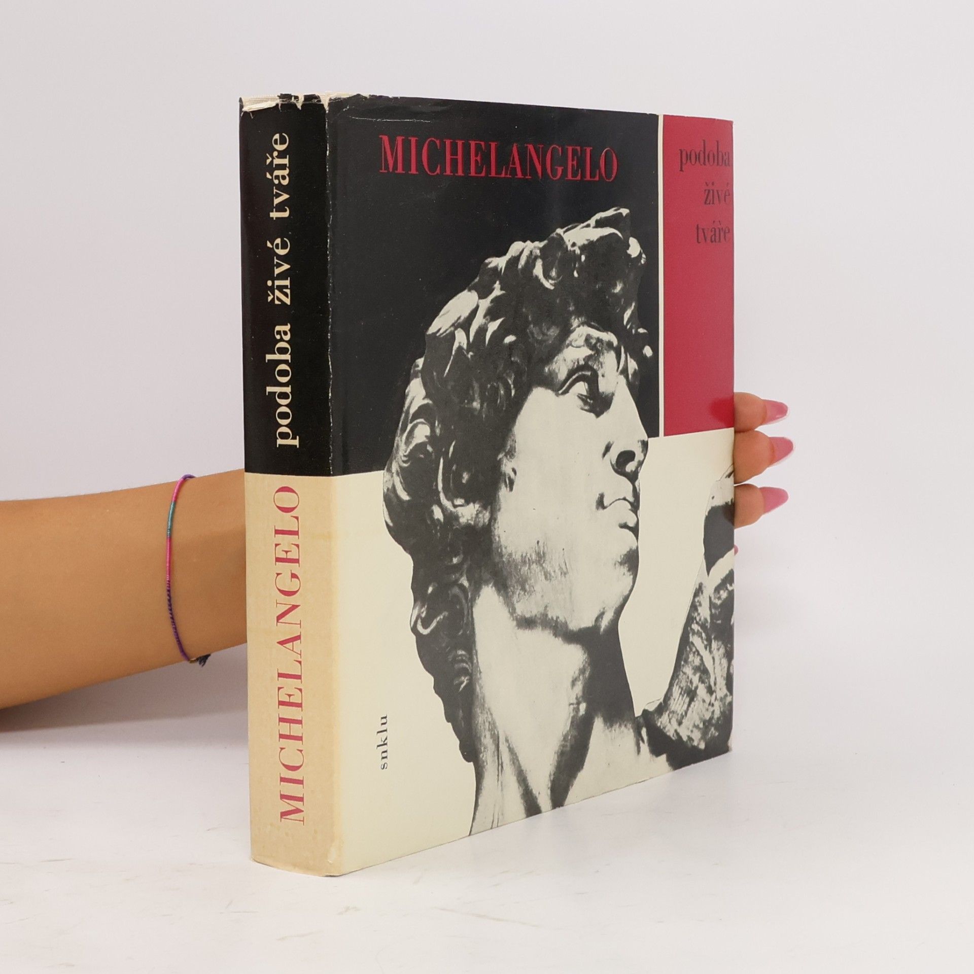 Michelangelo Buonarroti Michelangelo. Podoba živé tváře