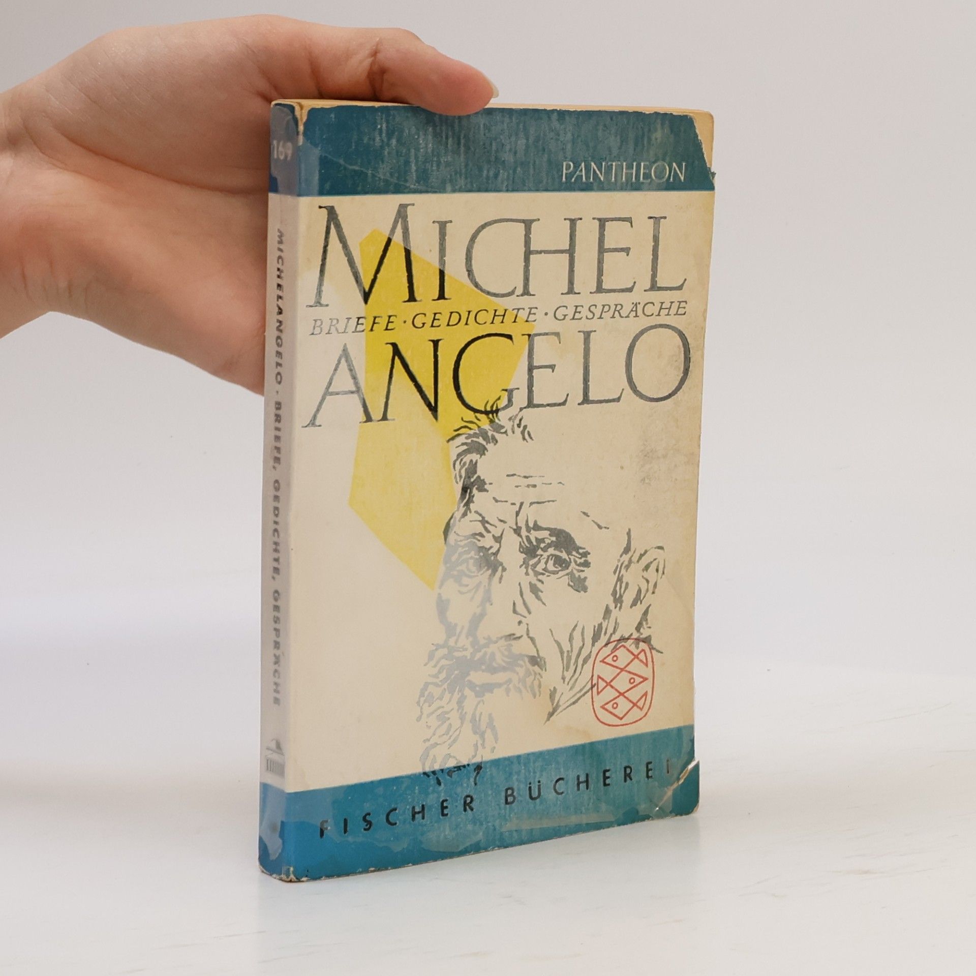 Michelangelo Michelangelo. Briefe, Gedichte, Gespräche