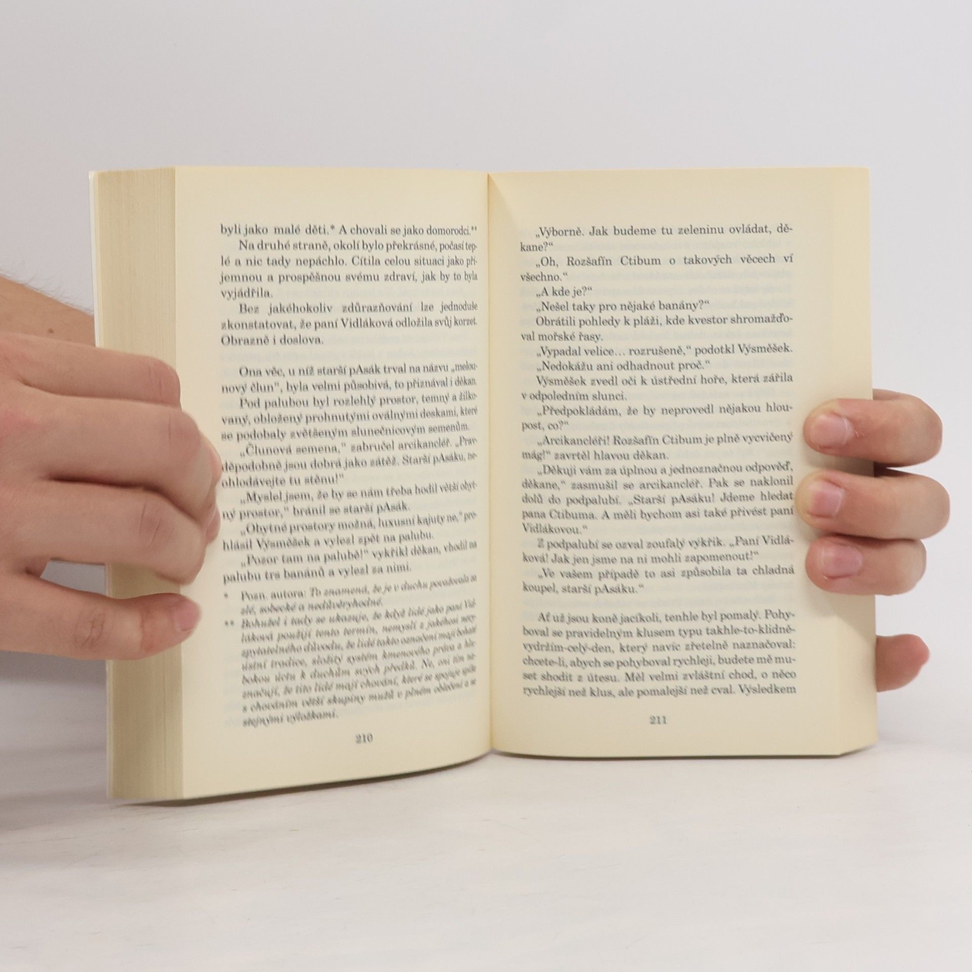 Terry Pratchett Poslední kontinent