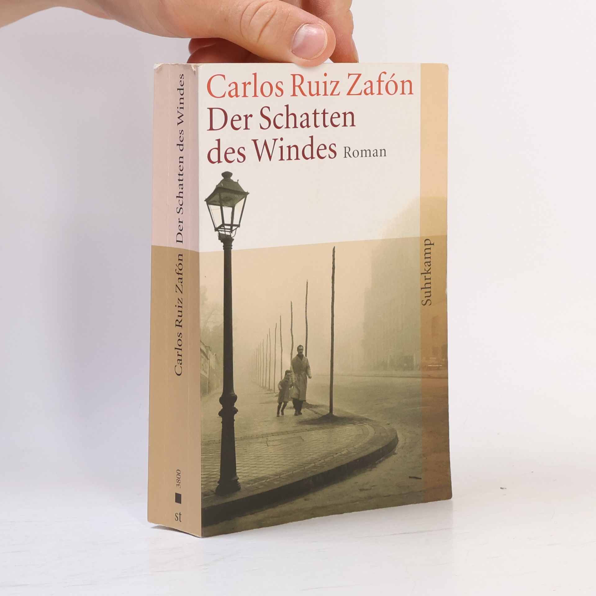 Der Schatten des Windes