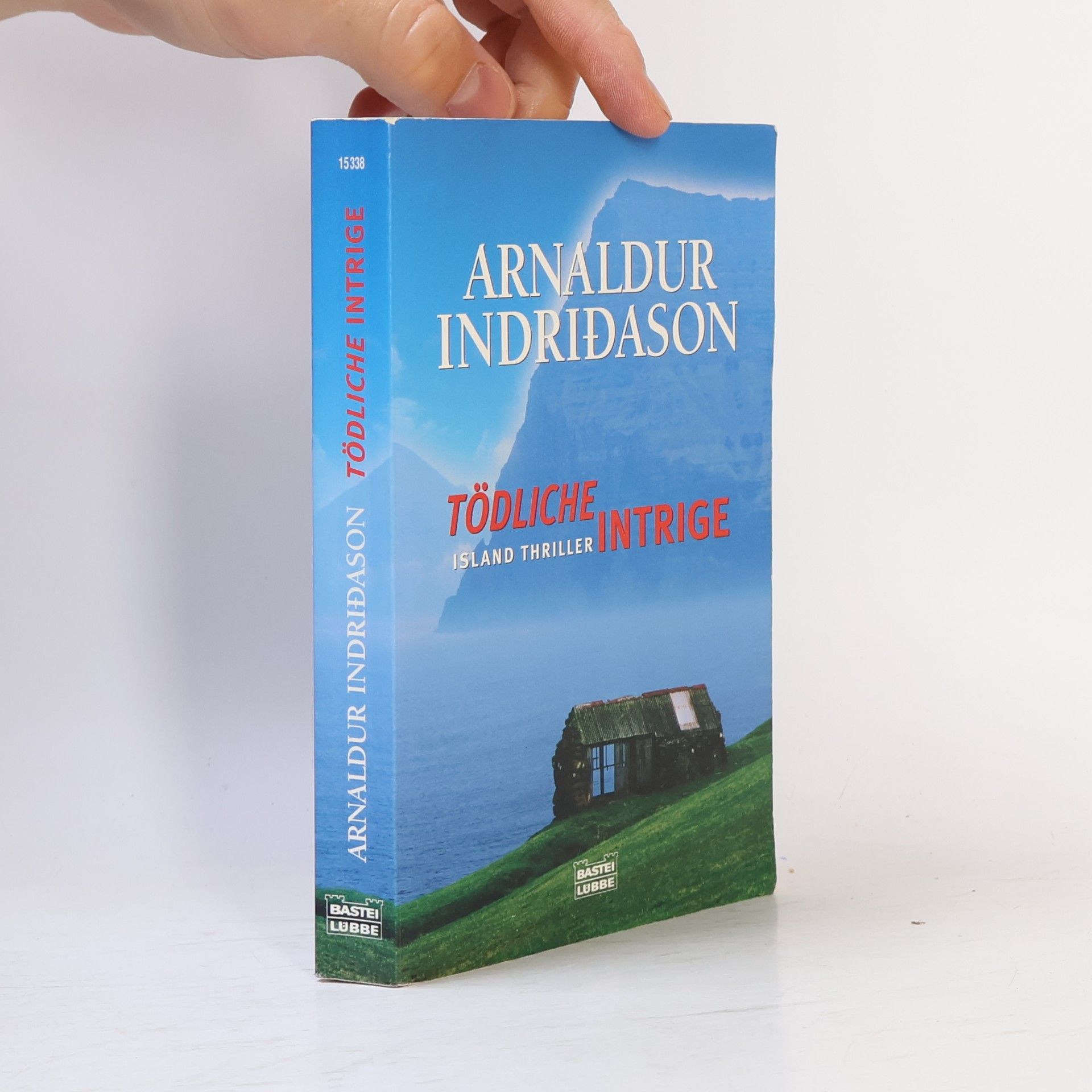Arnaldur Indridason Tödliche Intrige