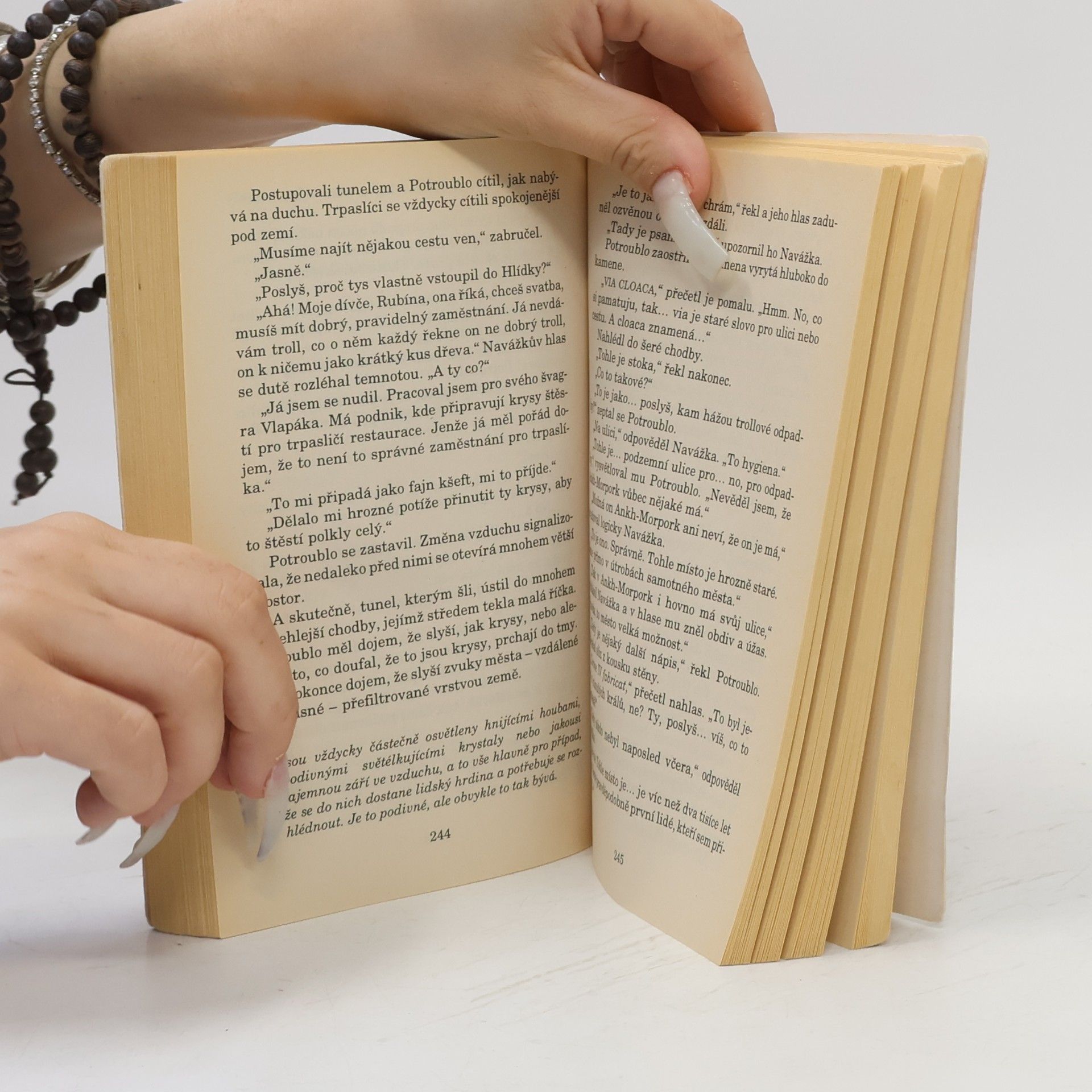 Terry Pratchett Muži ve zbrani