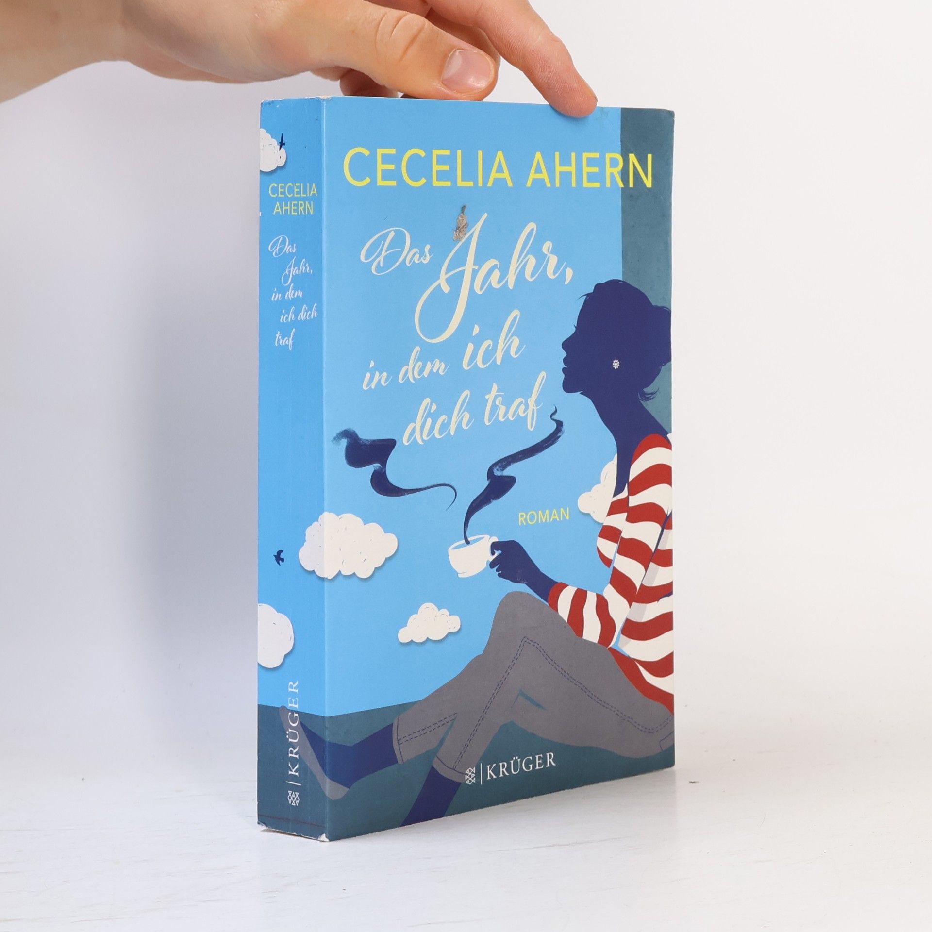 Cecelia Ahern Das Jahr, in dem ich dich traf