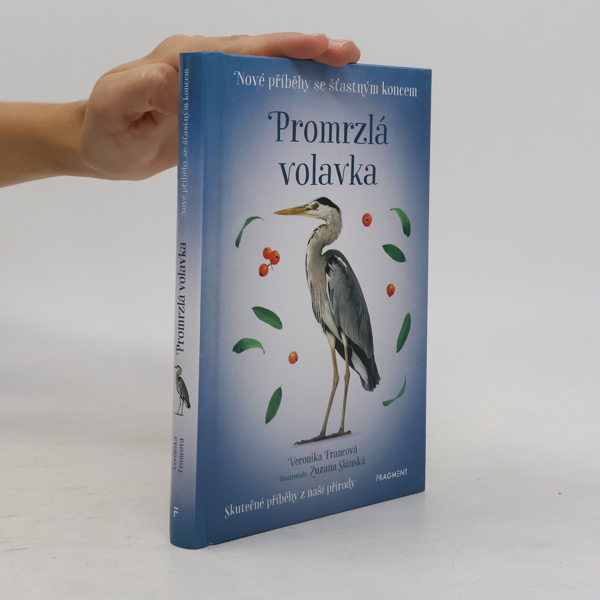 Veronika Francová Promrzlá volavka