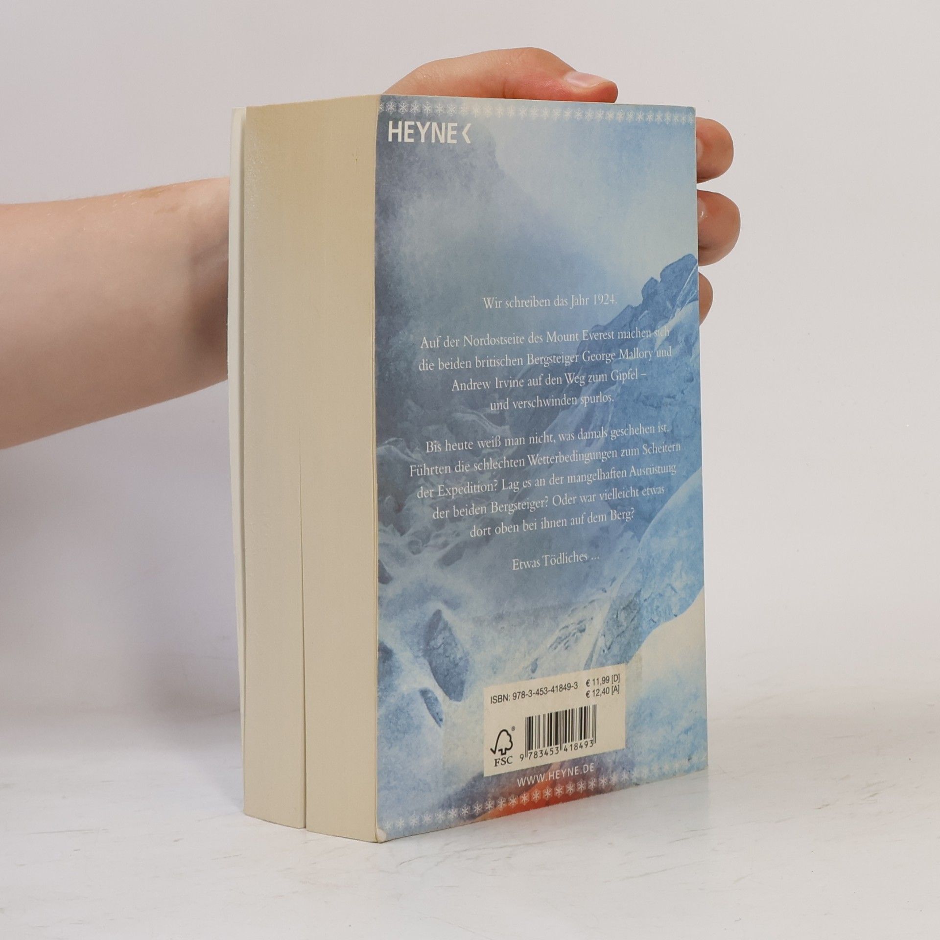 Dan Simmons Der Berg