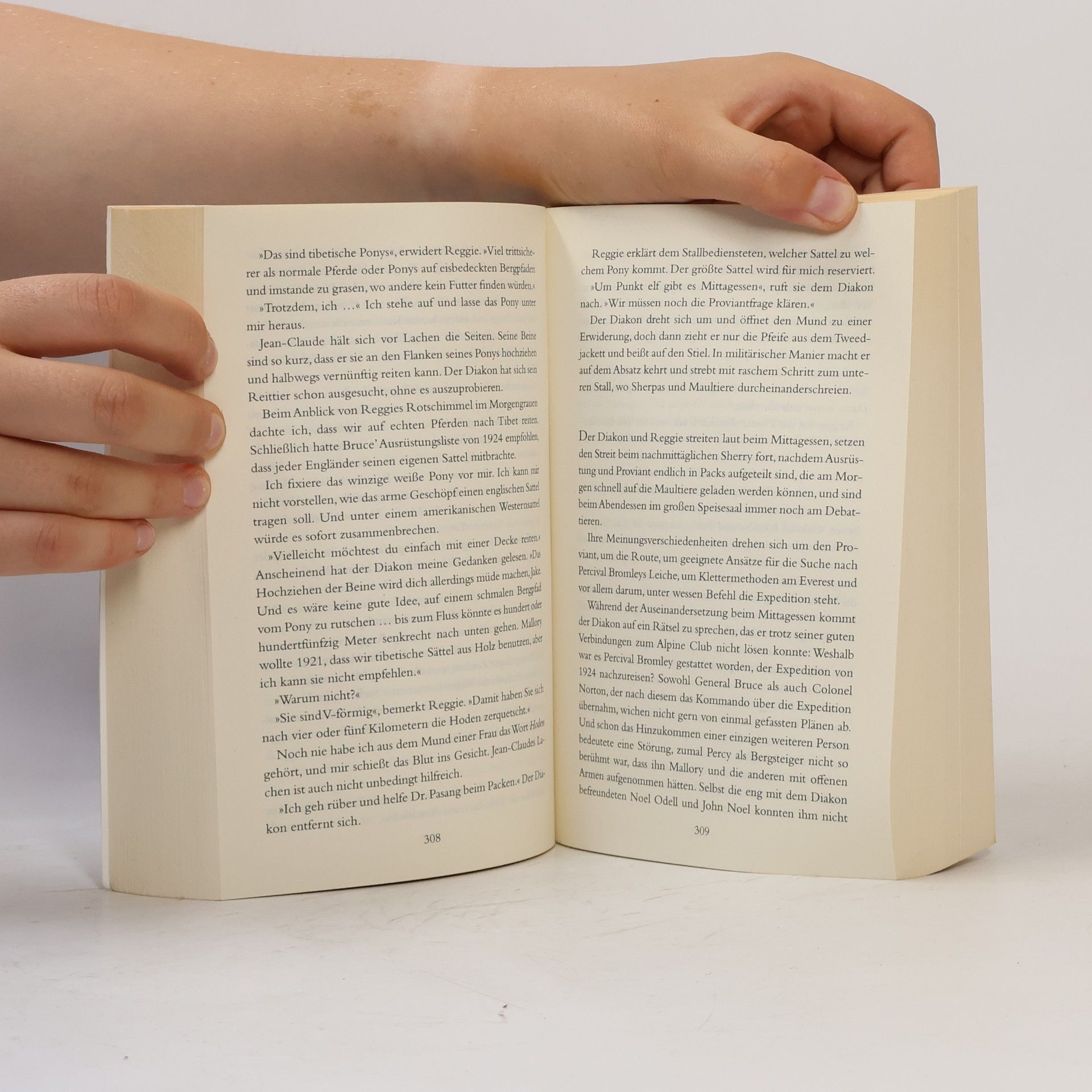 Dan Simmons Der Berg