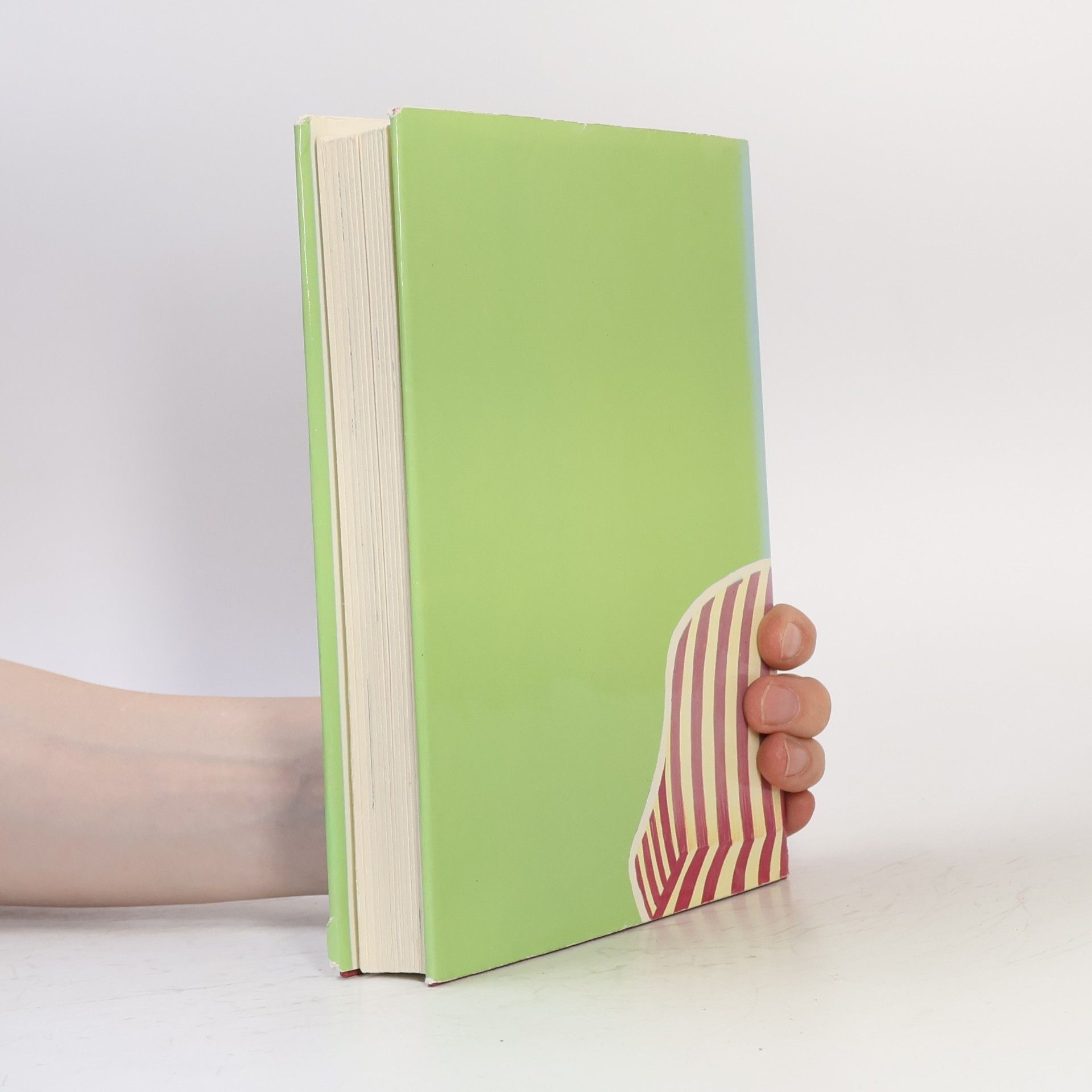 Frances Burnett Der kleine Lord