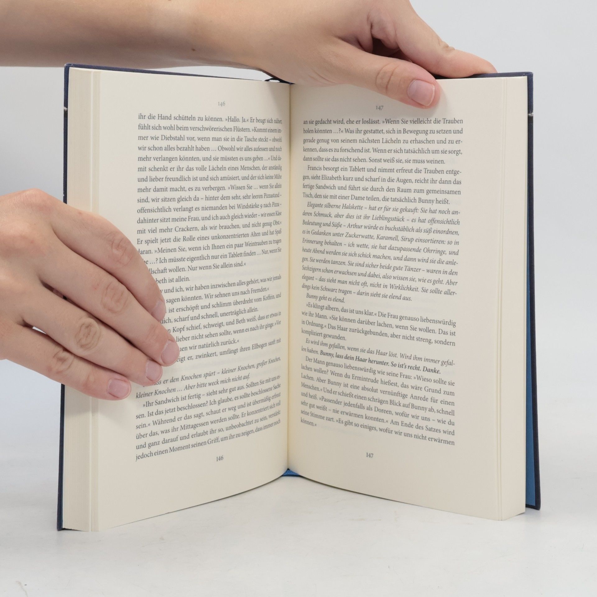 Ingo Herzke Das Blaue Buch