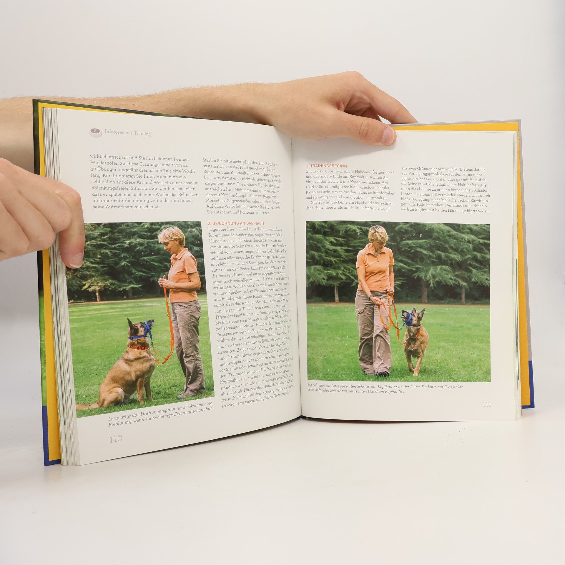 Martin Rütter Hundetraining mit Martin Rütter