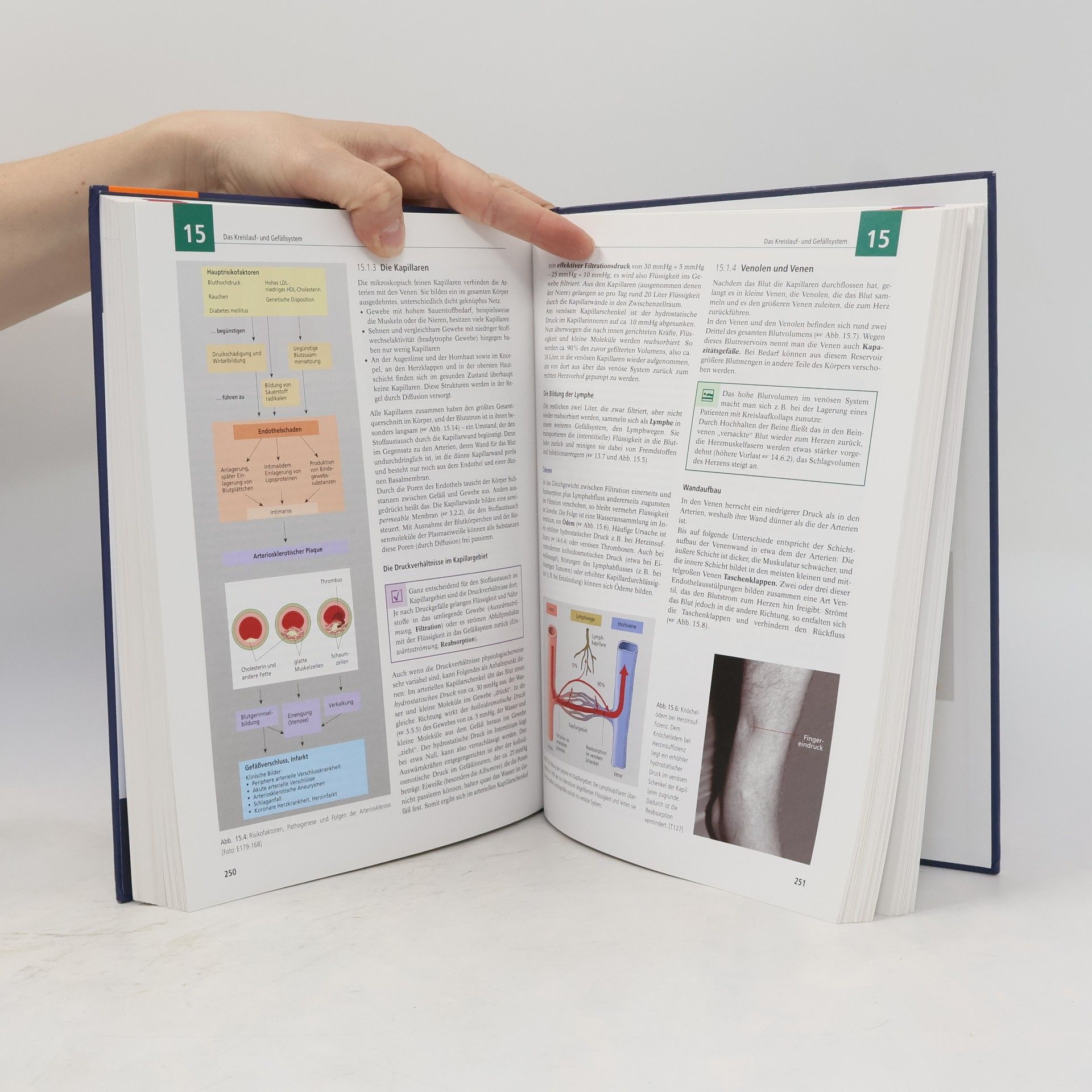 Nicole Menche Biologie, Anatomie, Physiologie
