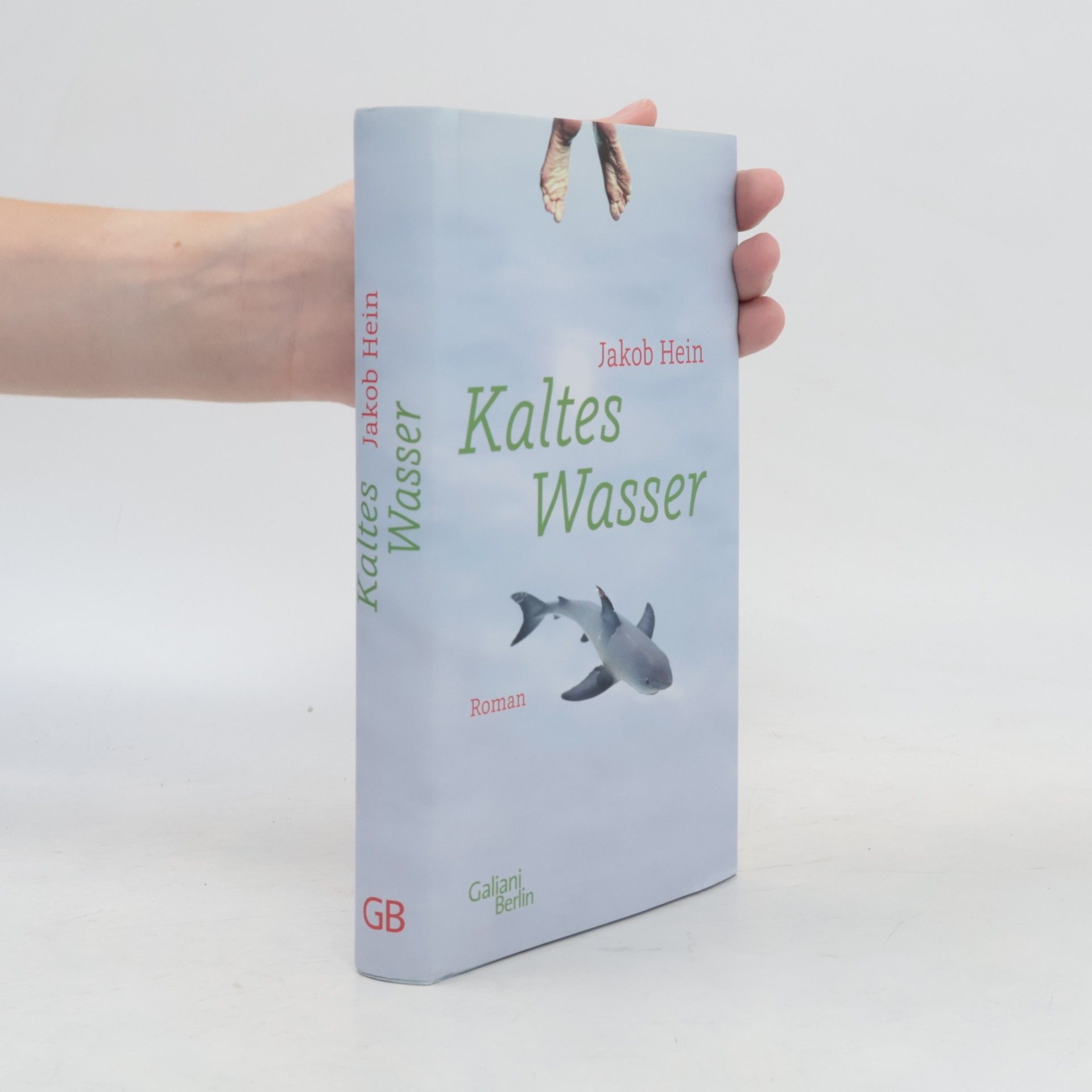 Jakob Hein Kaltes Wasser