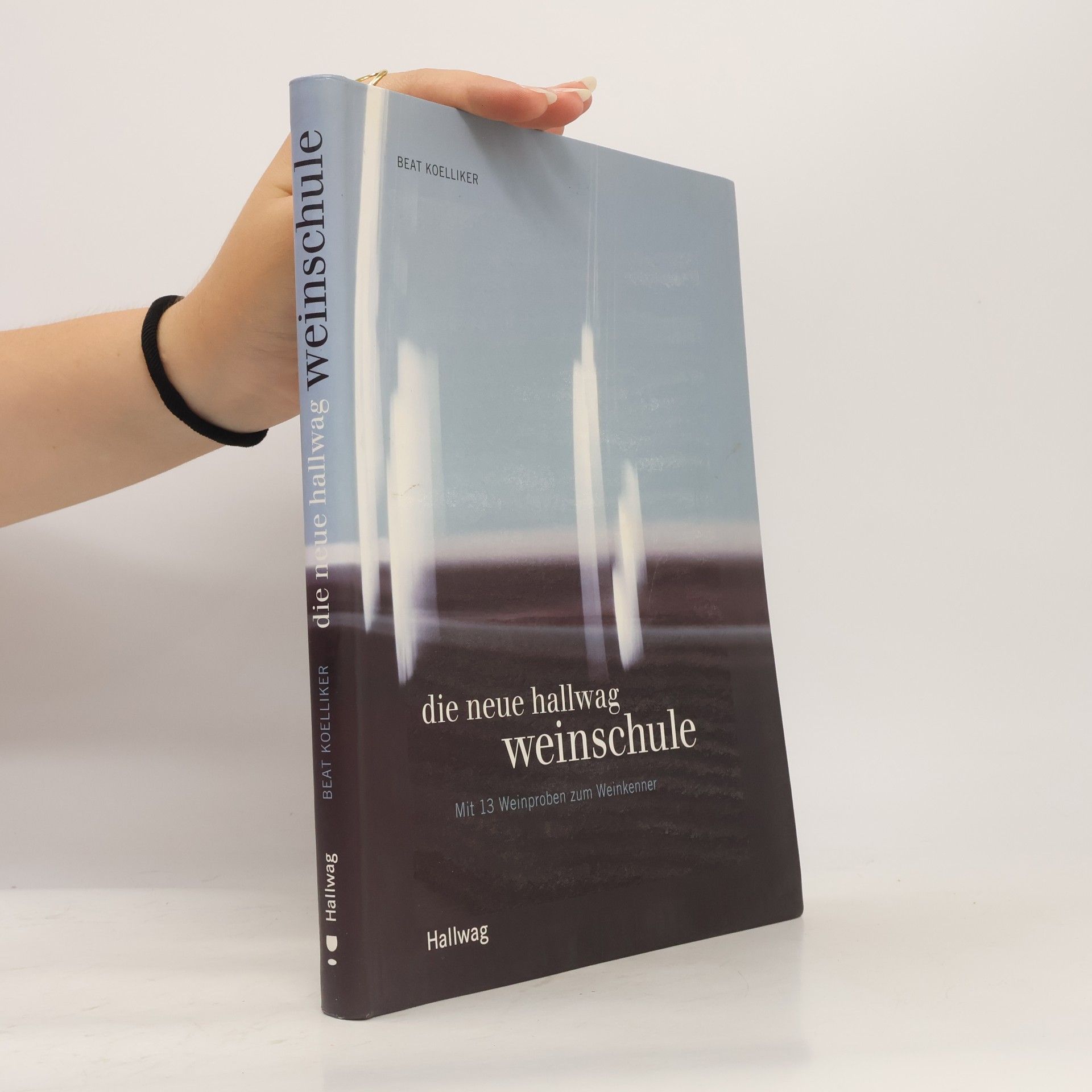 Beat Koelliker Die neue Hallwag-Weinschule