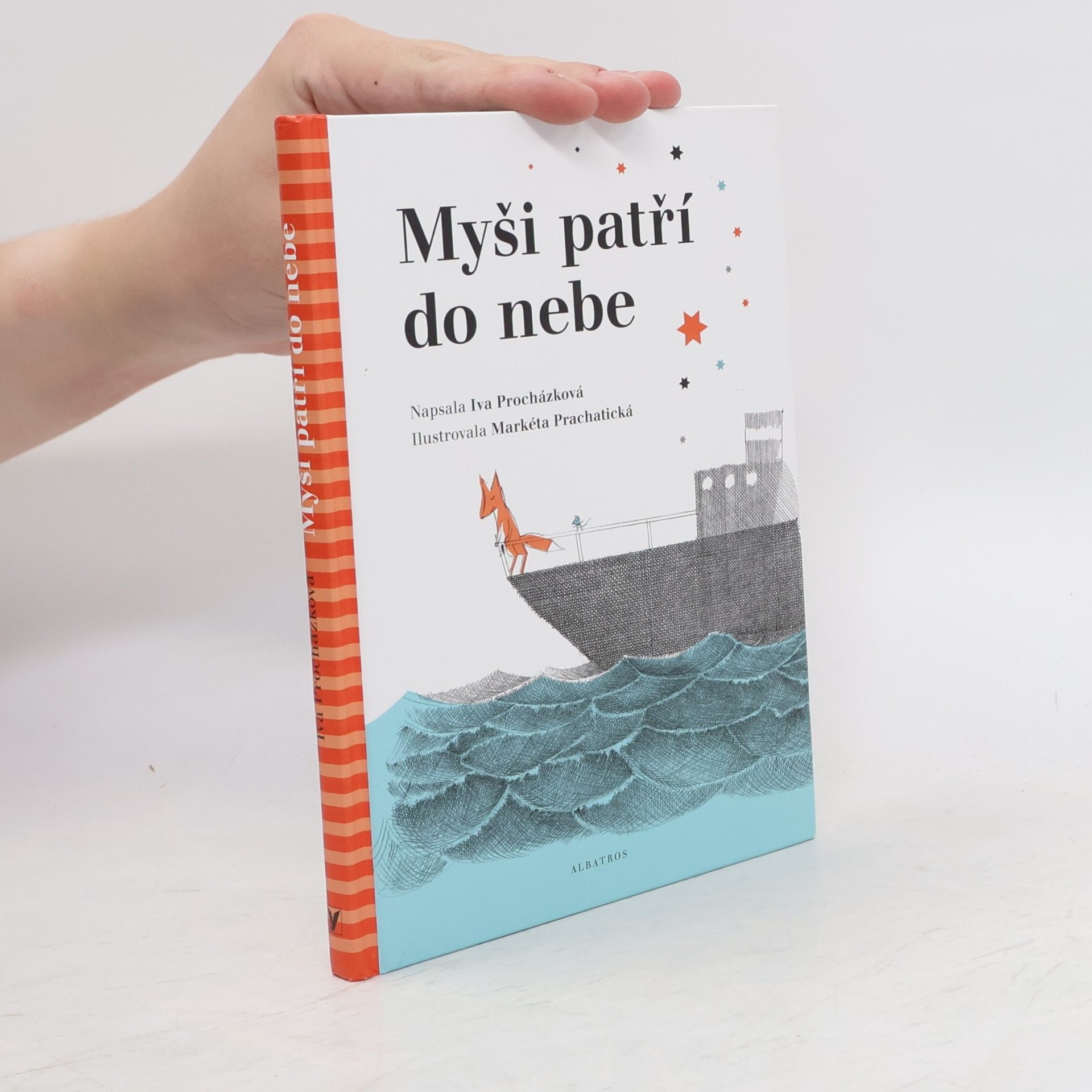 Iva Procházková Myši patří do nebe