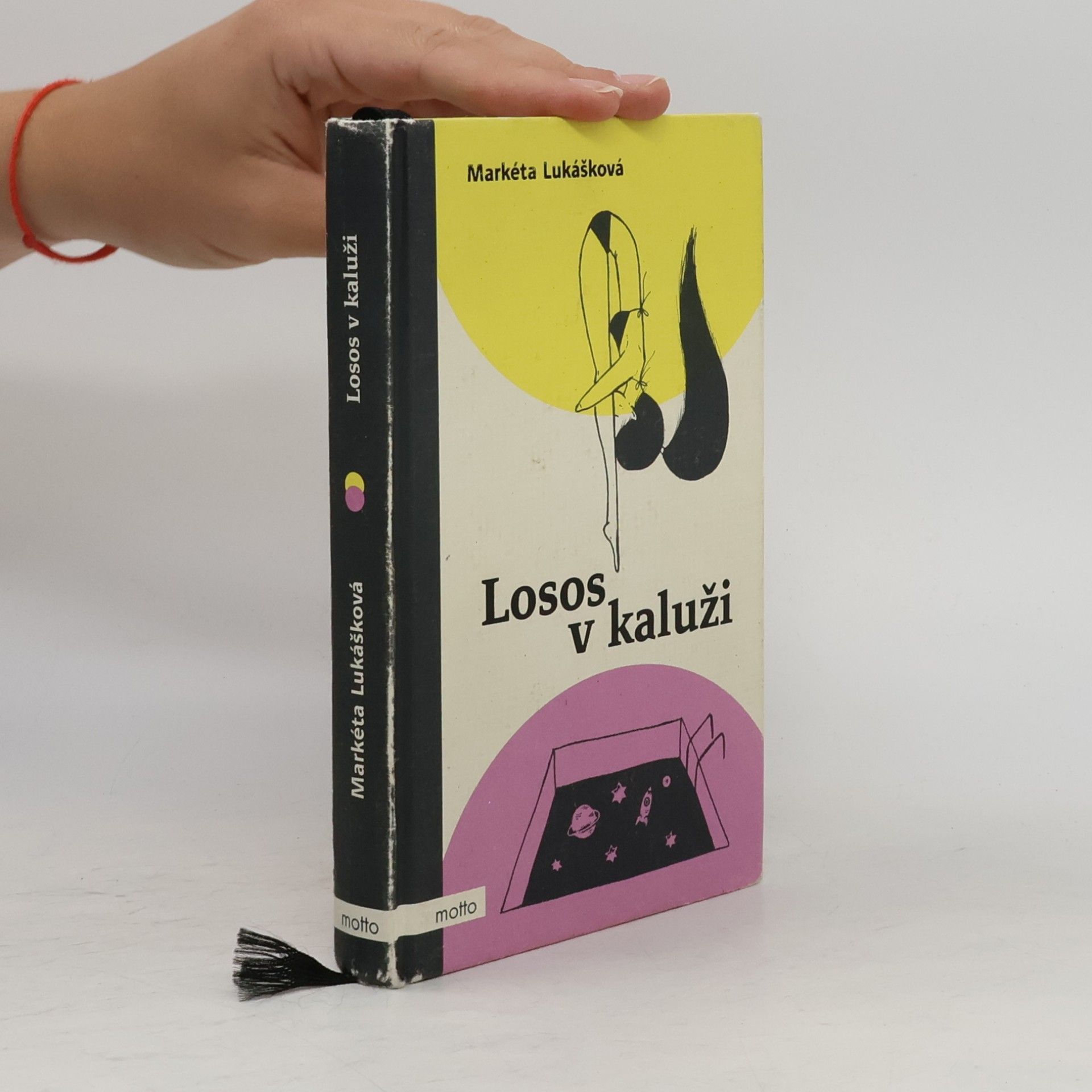 Markéta Lukášková Losos v kaluži