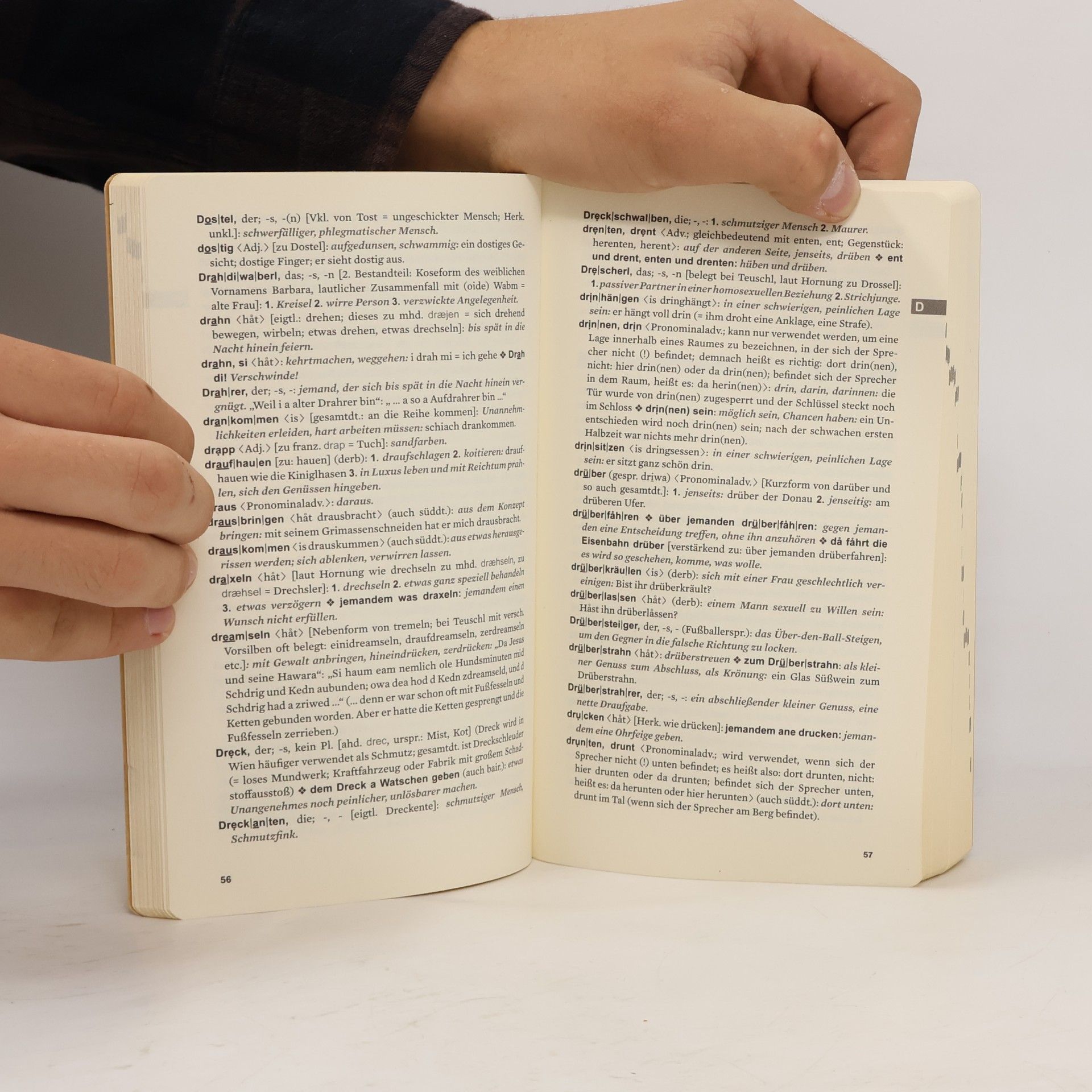 Robert Sedlaczek Wörterbuch des Wienerischen