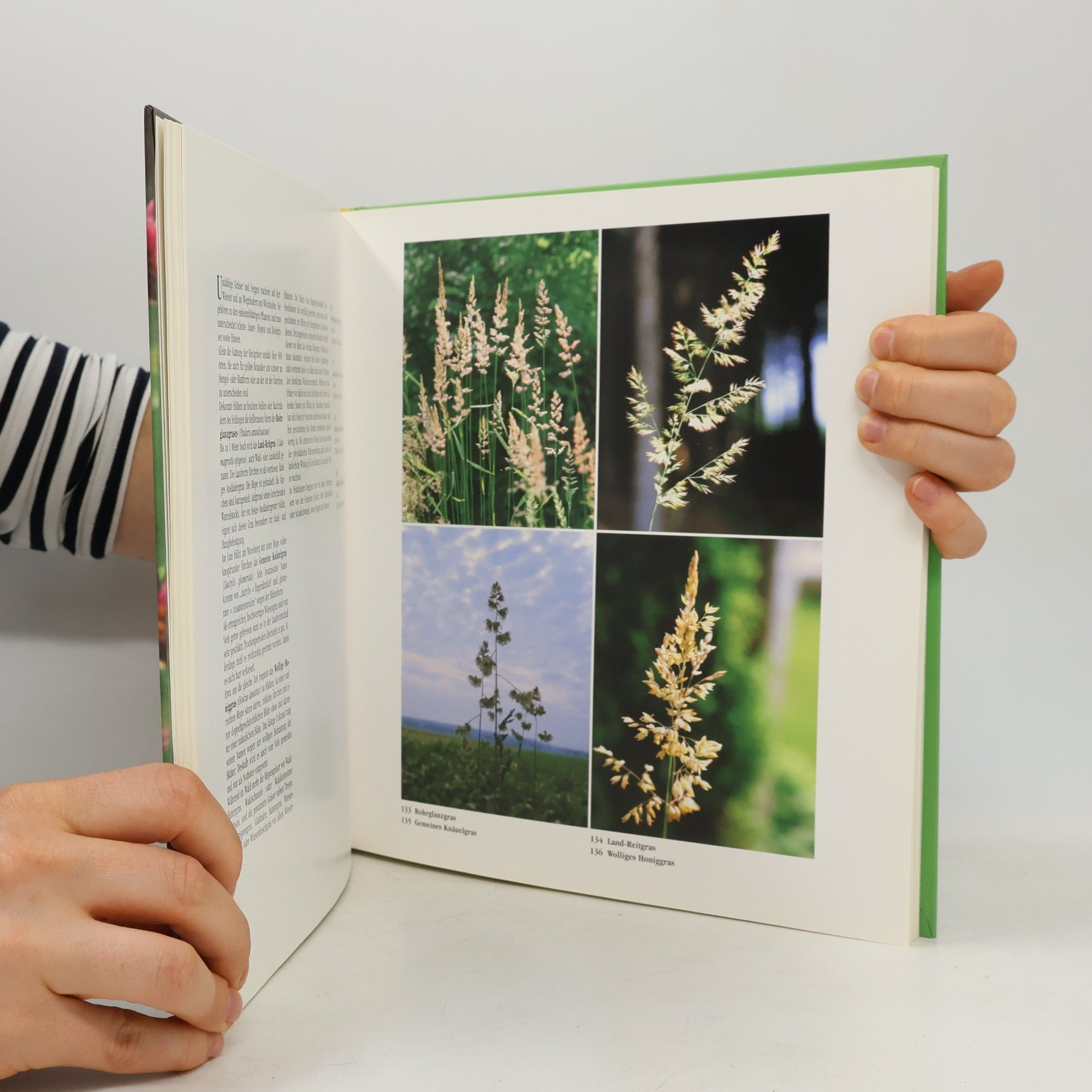 Hans Horst Fröhlich Der Naturgarten des Sebastian Kneipp