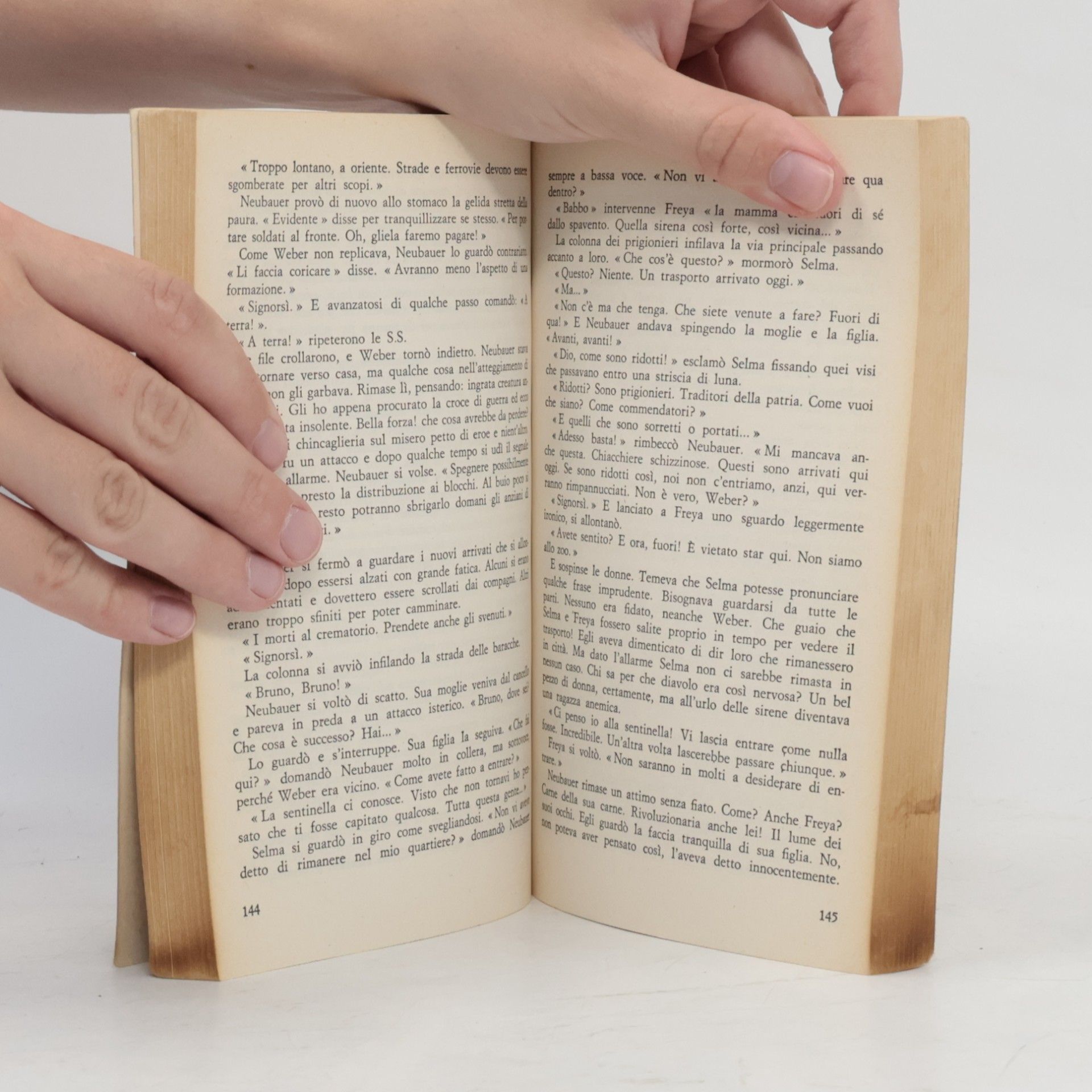 Erich Maria Remarque L'ultima scintilla