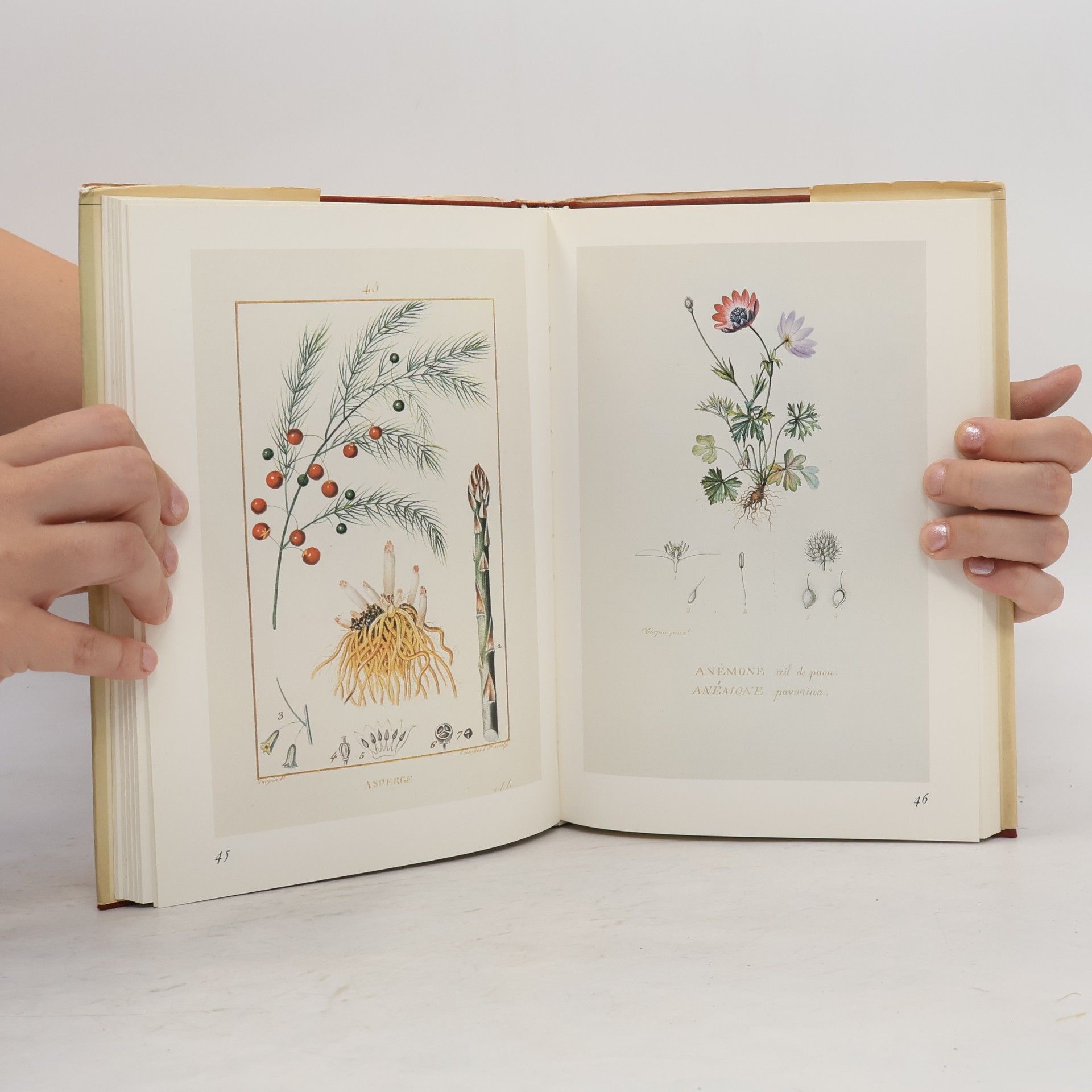 Alice M. Coats Bloemenschat