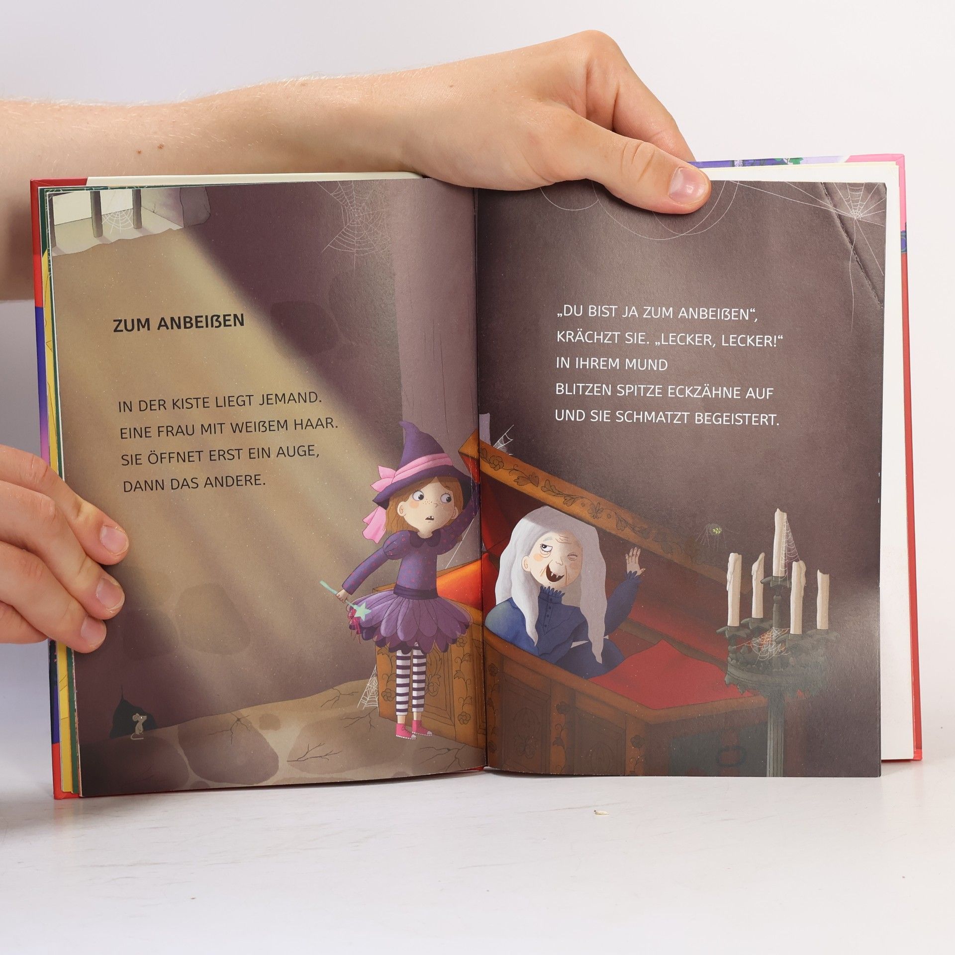Maja von Vogel Leselöwen 1. Klasse - Willkommen im Spukschloss! (Großbuchstabenausgabe)