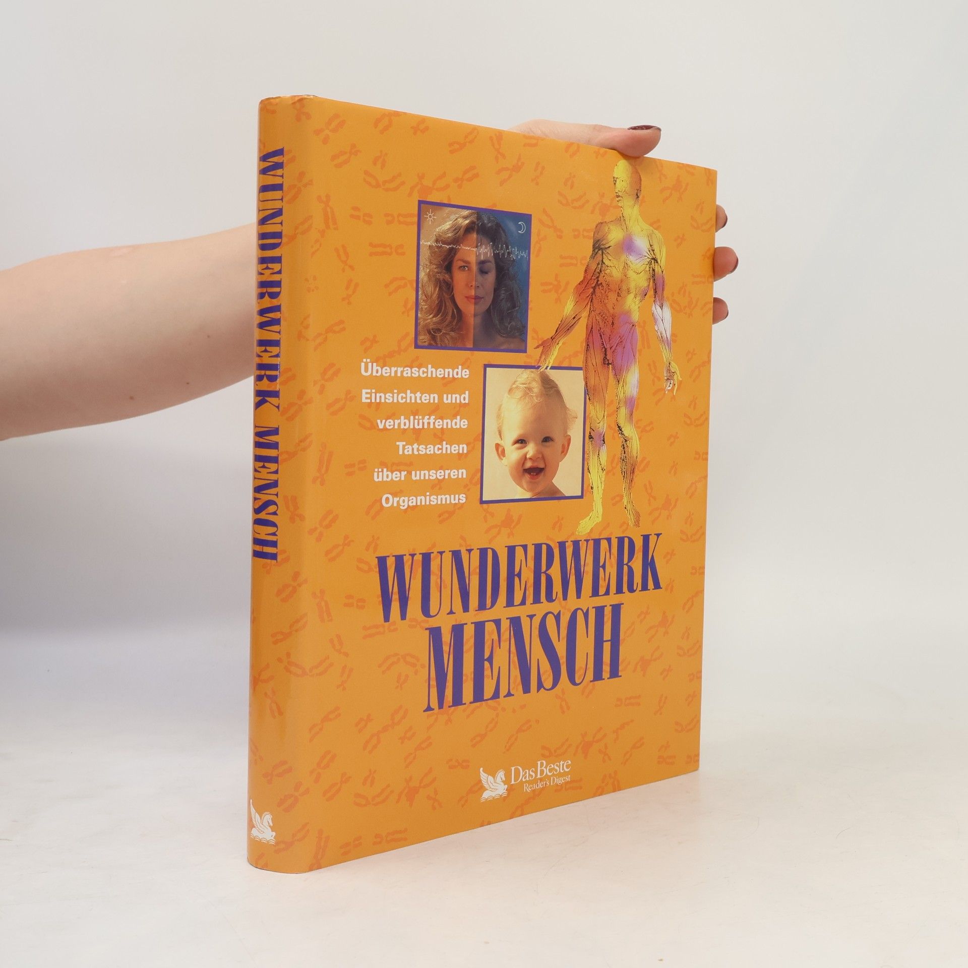 Annette Adams Wunderwerk Mensch
