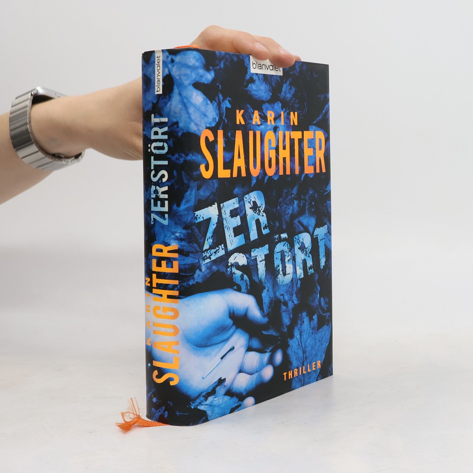 Karin Slaughter Zerstört