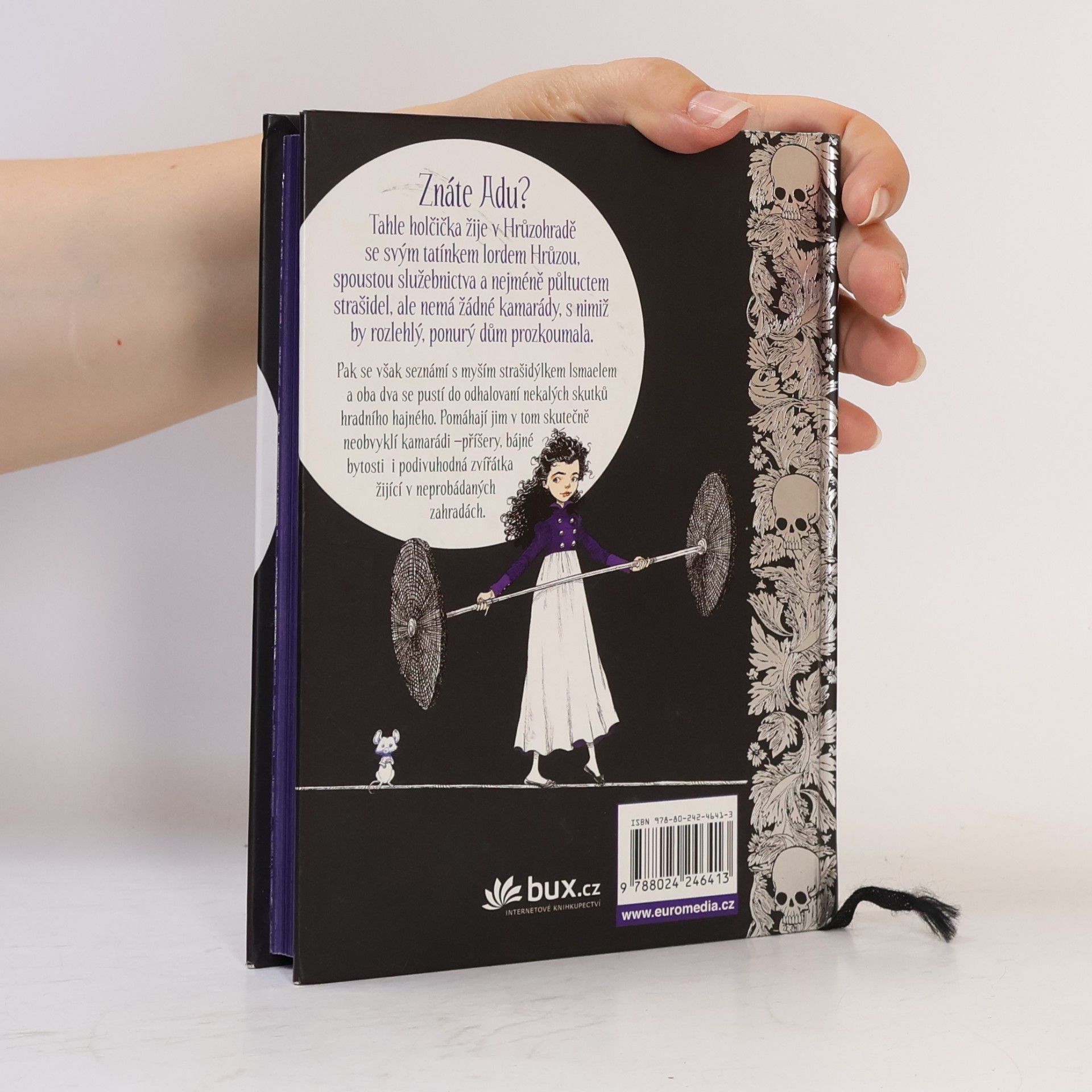 Chris Riddell Ada a myší strašidlo