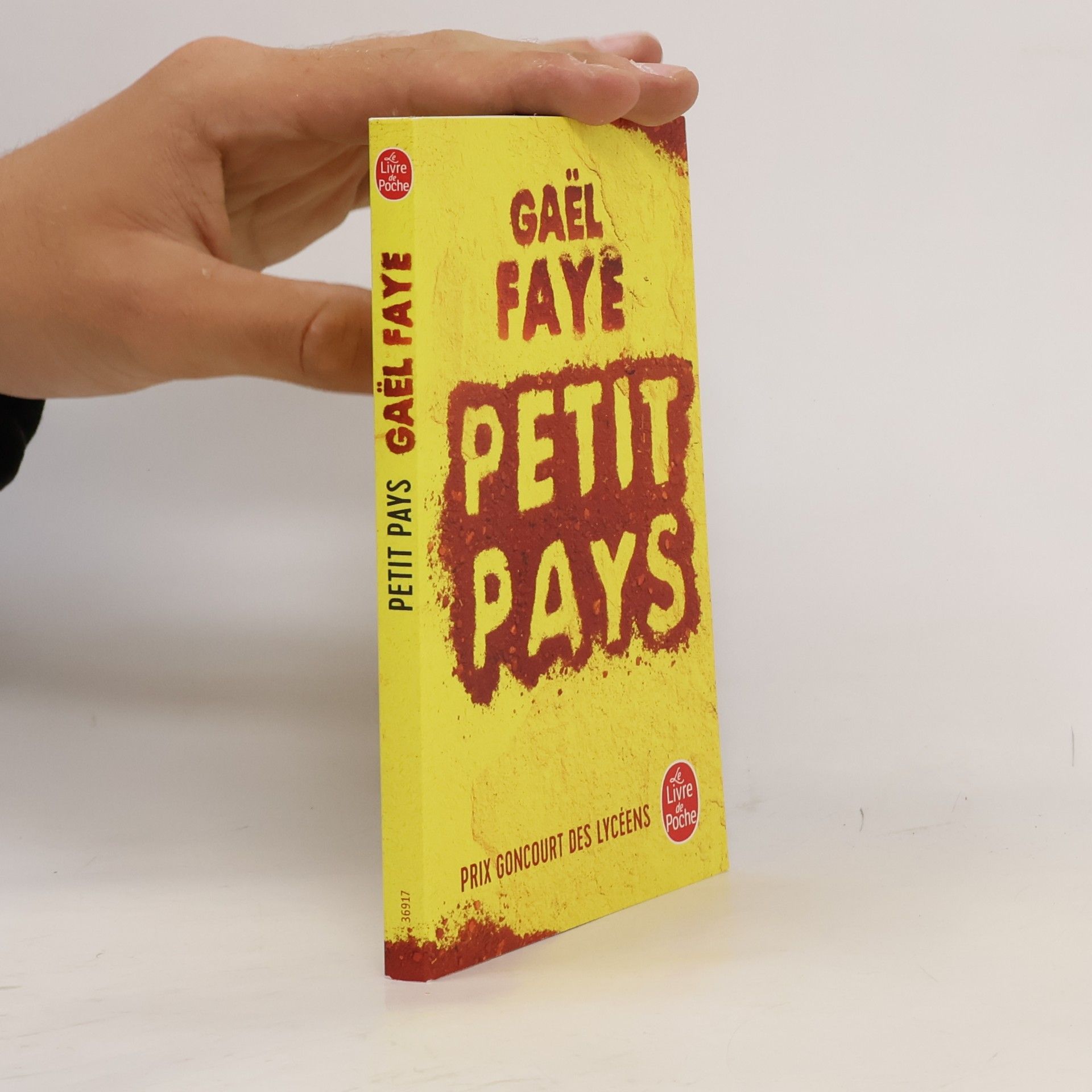 Gaël Faye Petit pays