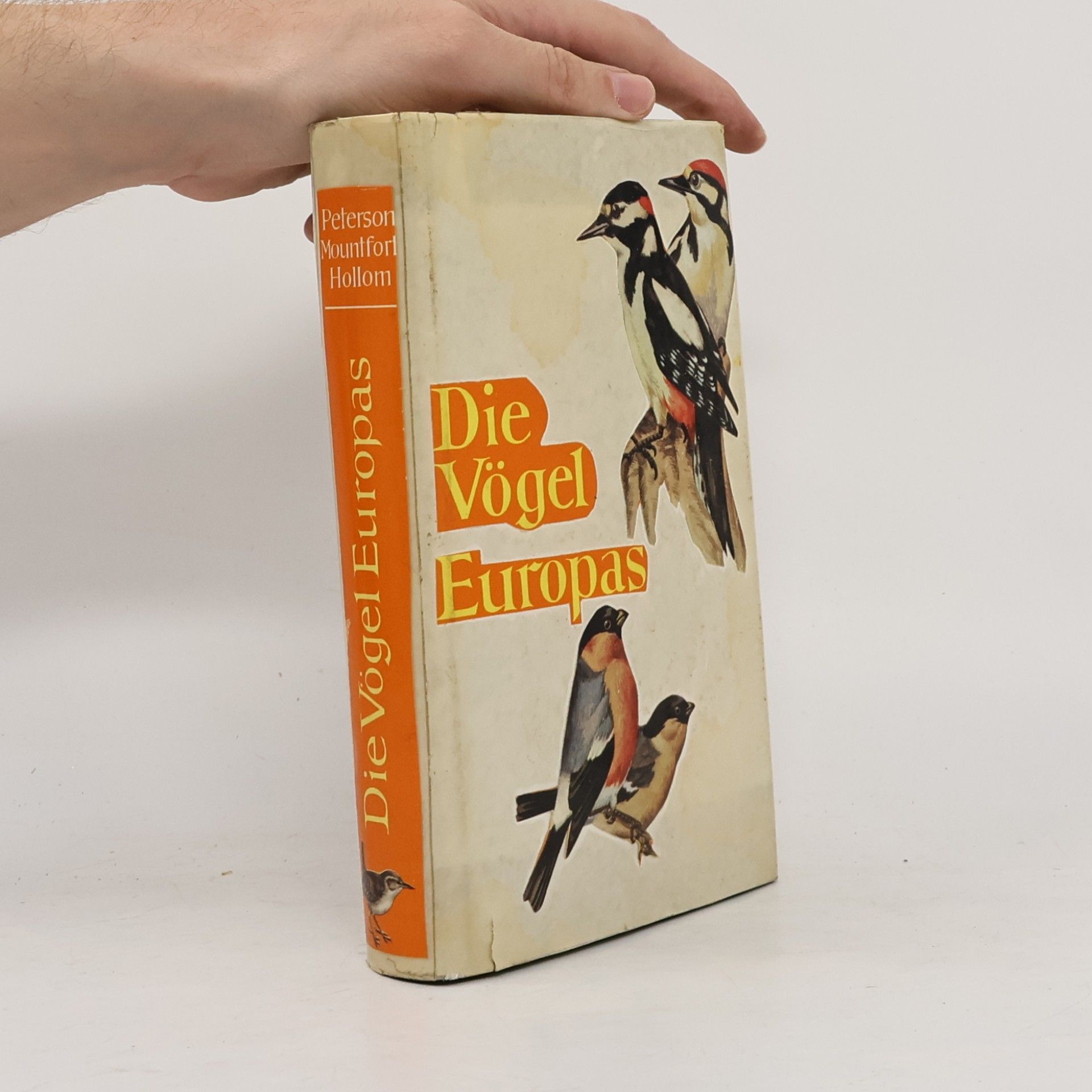 Wirbestimmen Die vogel europas