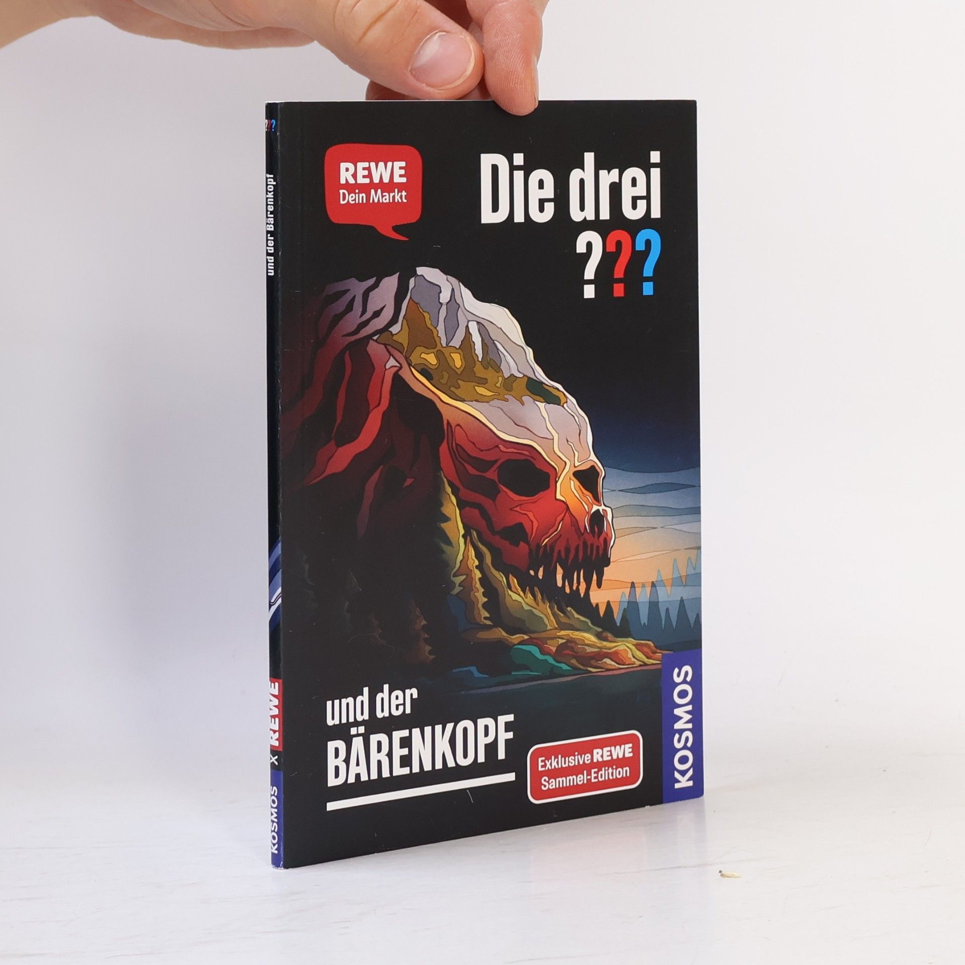 Andreas Ruch Die drei ??? und der Bärenkopf