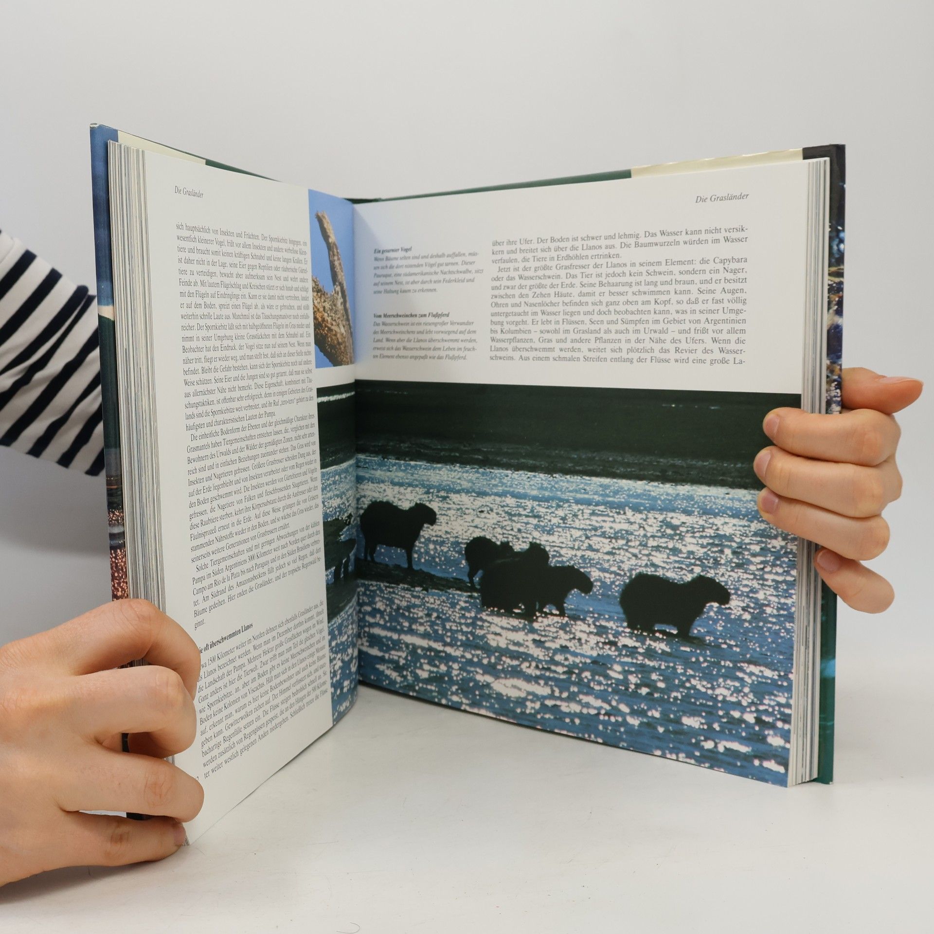 David Attenborough Lebensräume der Natur
