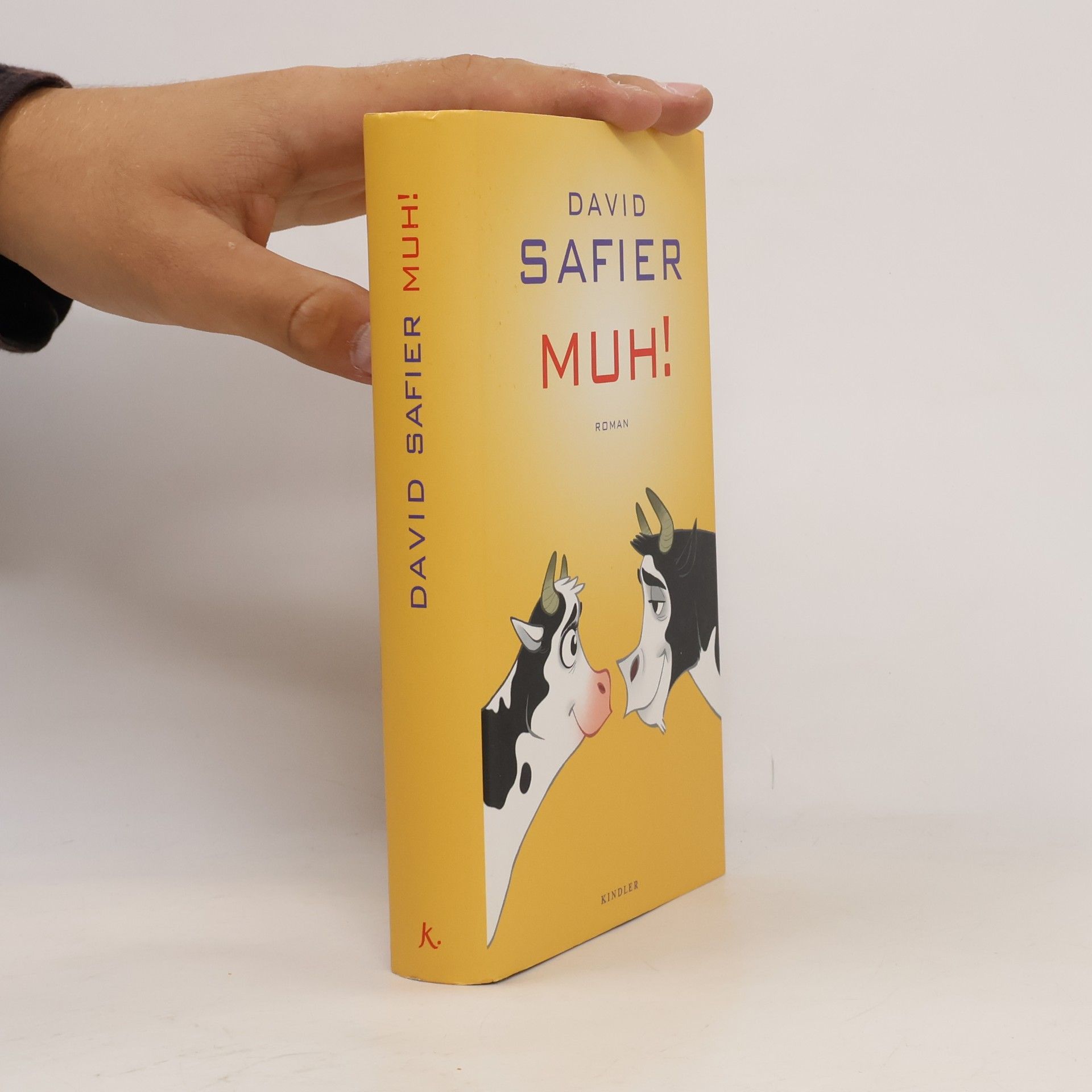 David Safier Muh!