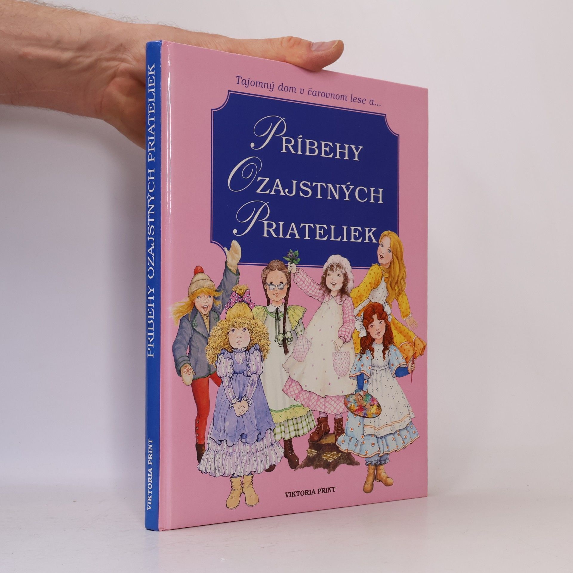 Kolektiv autorů Príbehy ozajstných priateliek