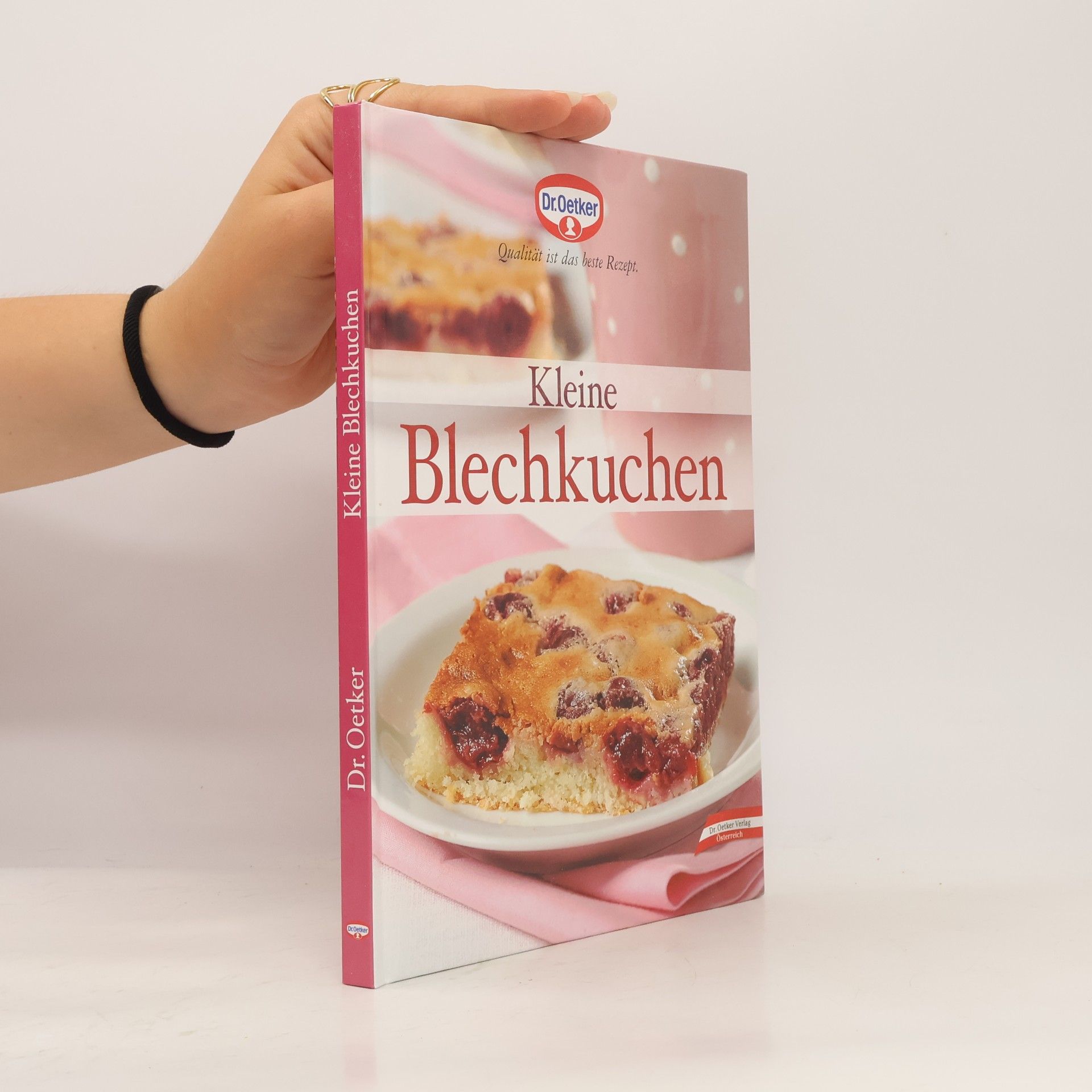Jasmin Gromzik Kleine Blechkuchen