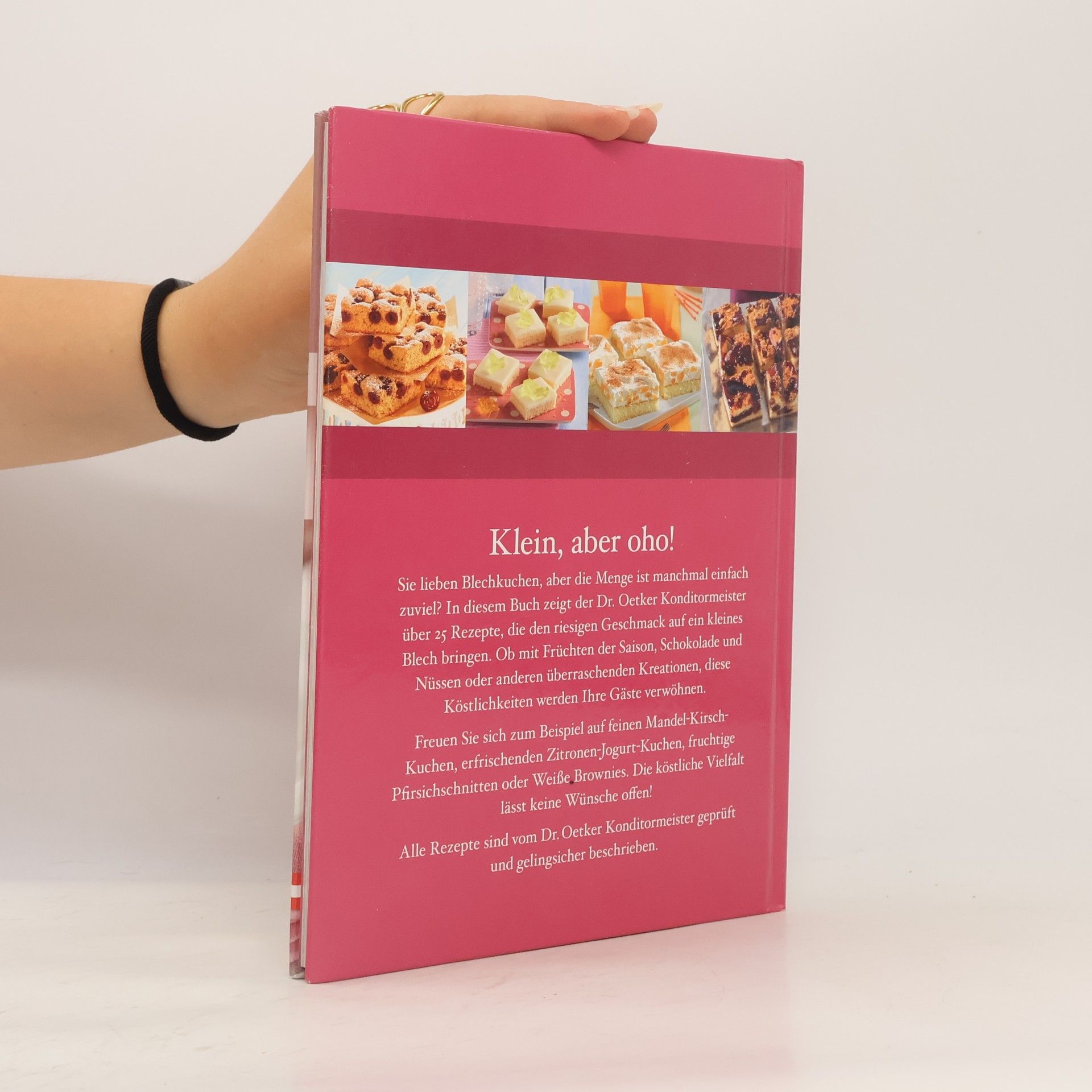 Jasmin Gromzik Kleine Blechkuchen
