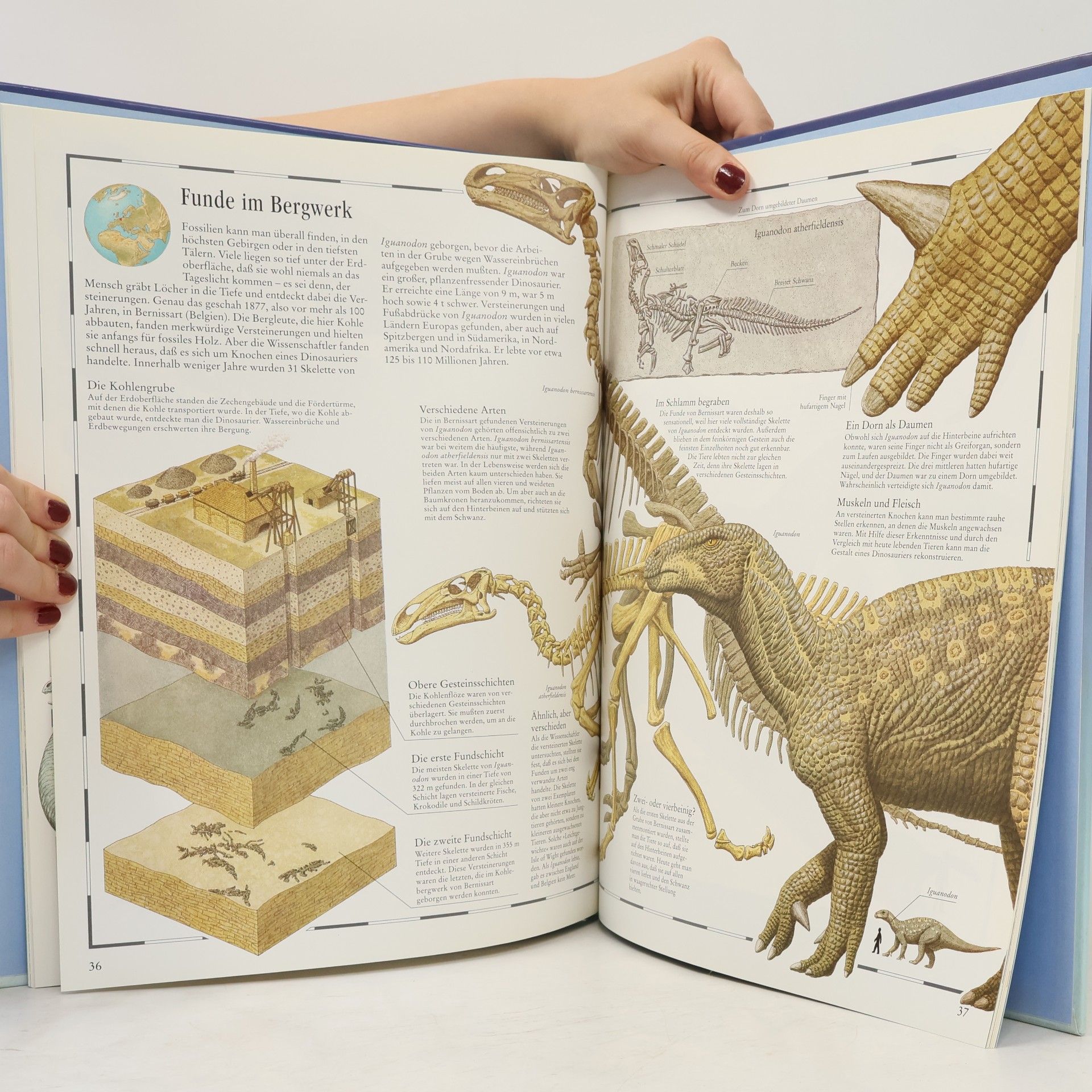 William Lindsay Bildatlas der Dinosaurier